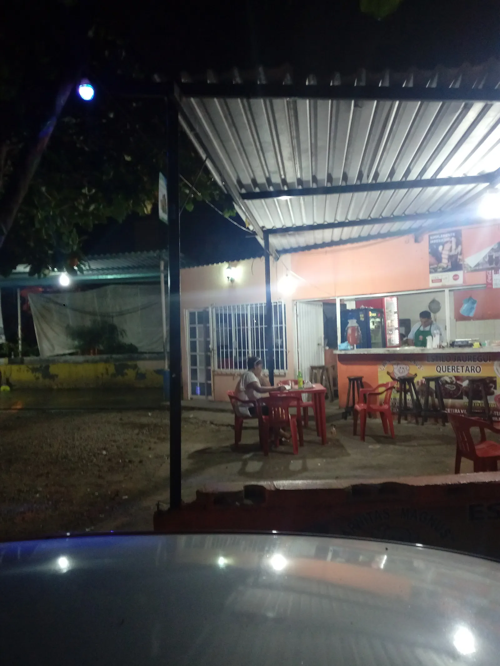Carnitas Magnus image 5