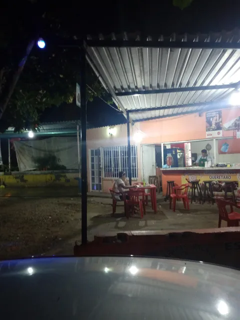 Carnitas Magnus image 5