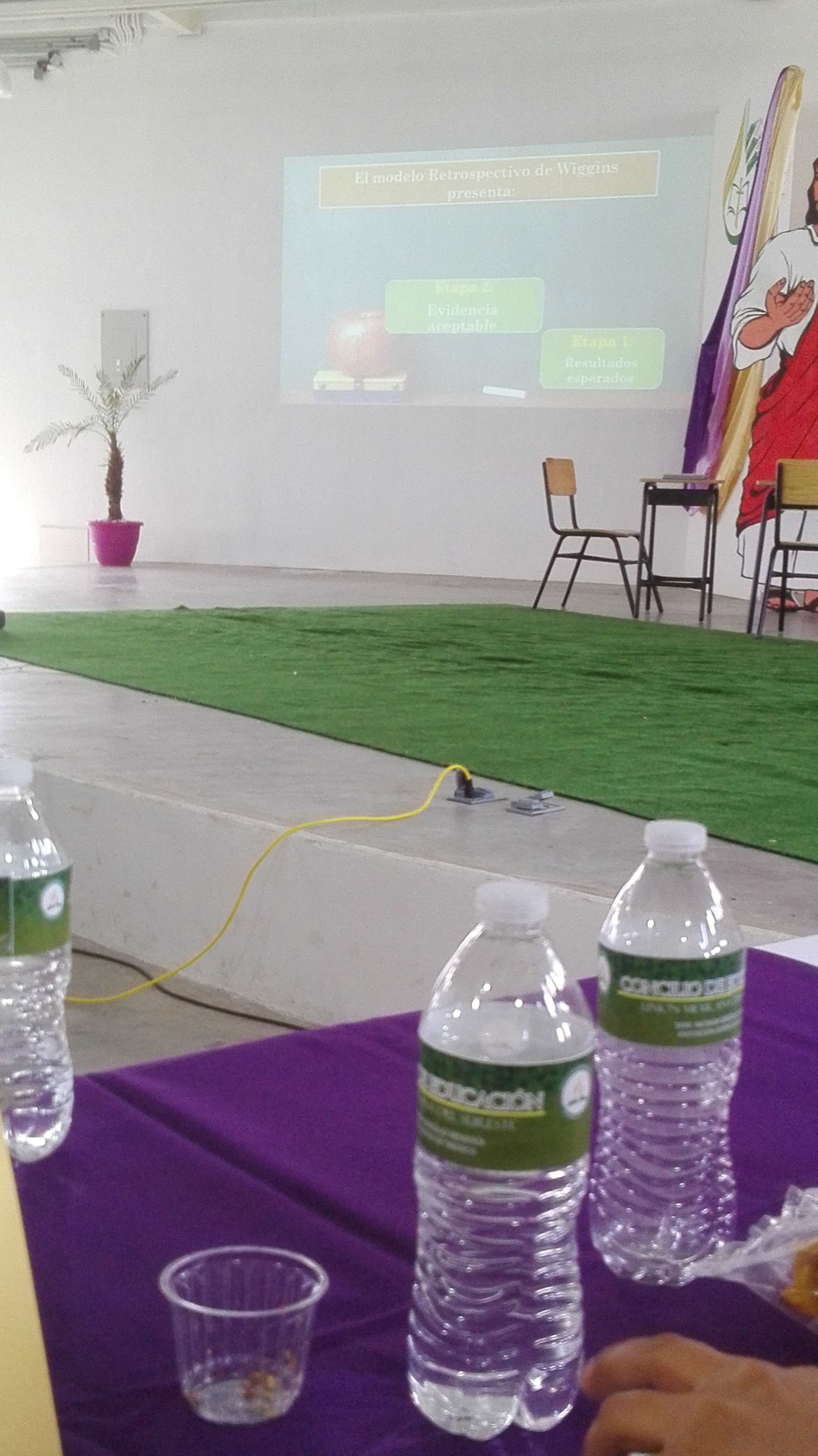 Carnitas Magnus image 6