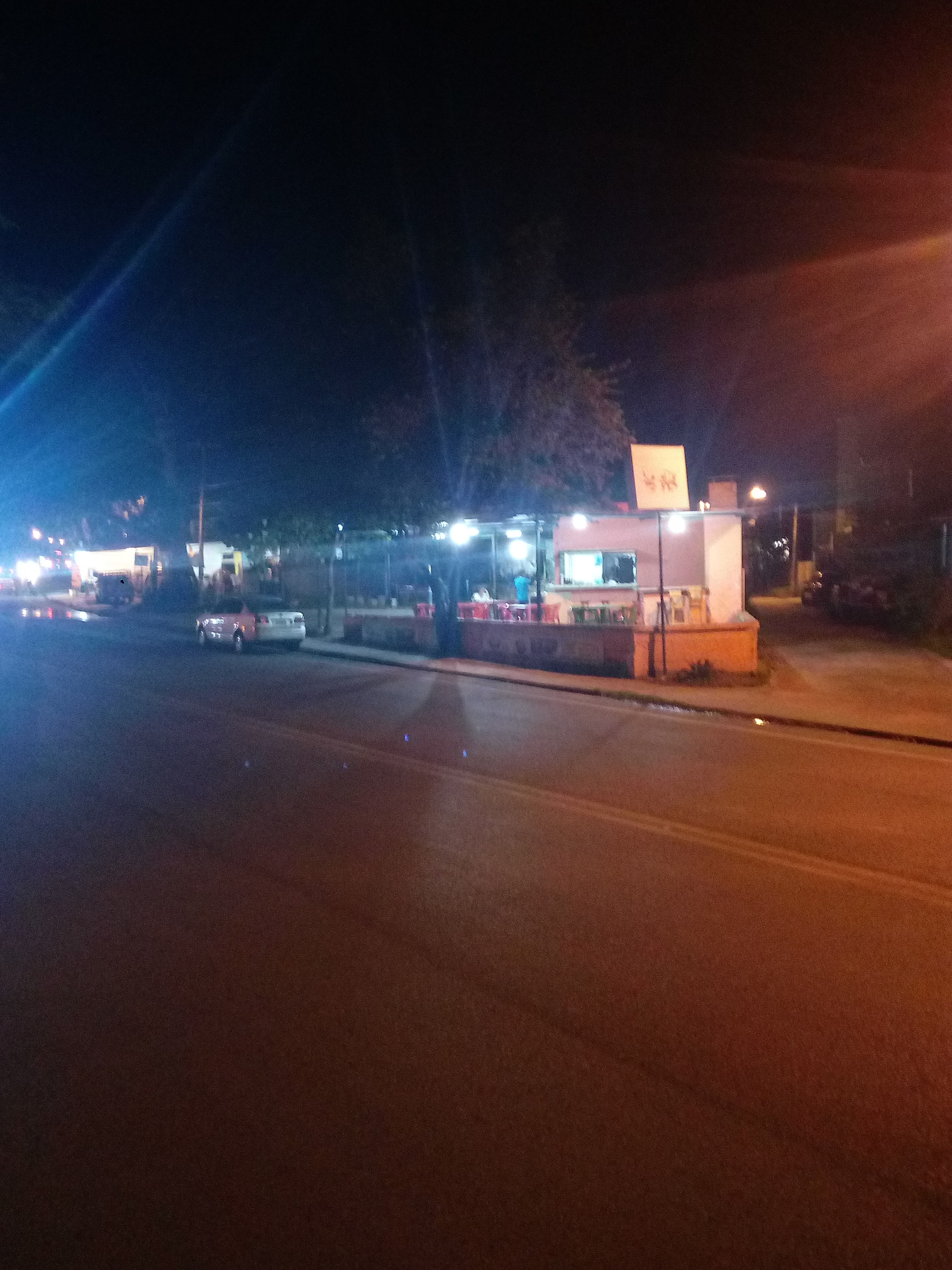 Carnitas Magnus image 7