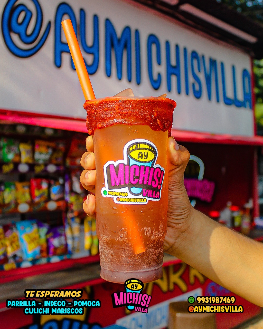 Ay Michis! Villa image 1