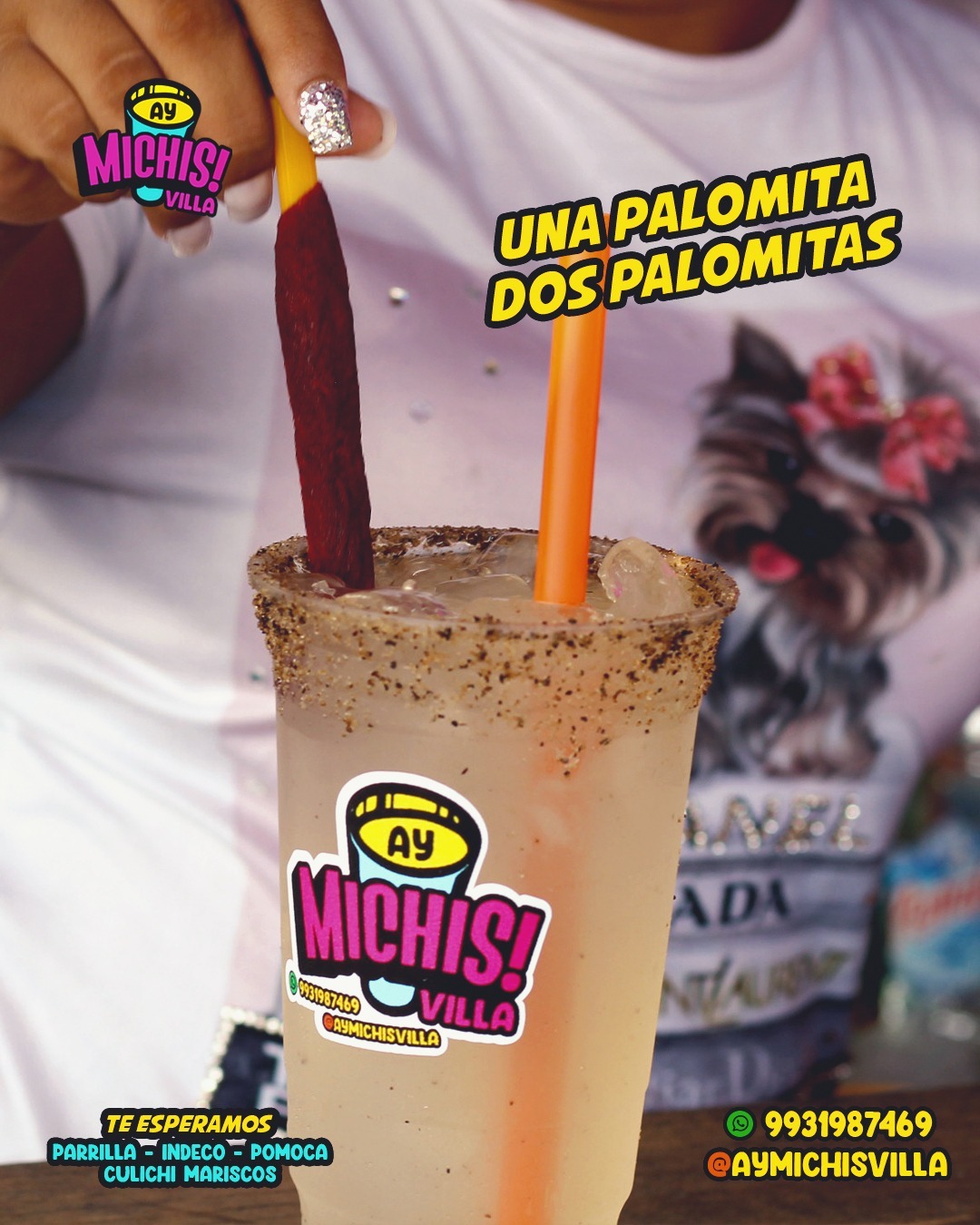 Ay Michis! Villa image 6