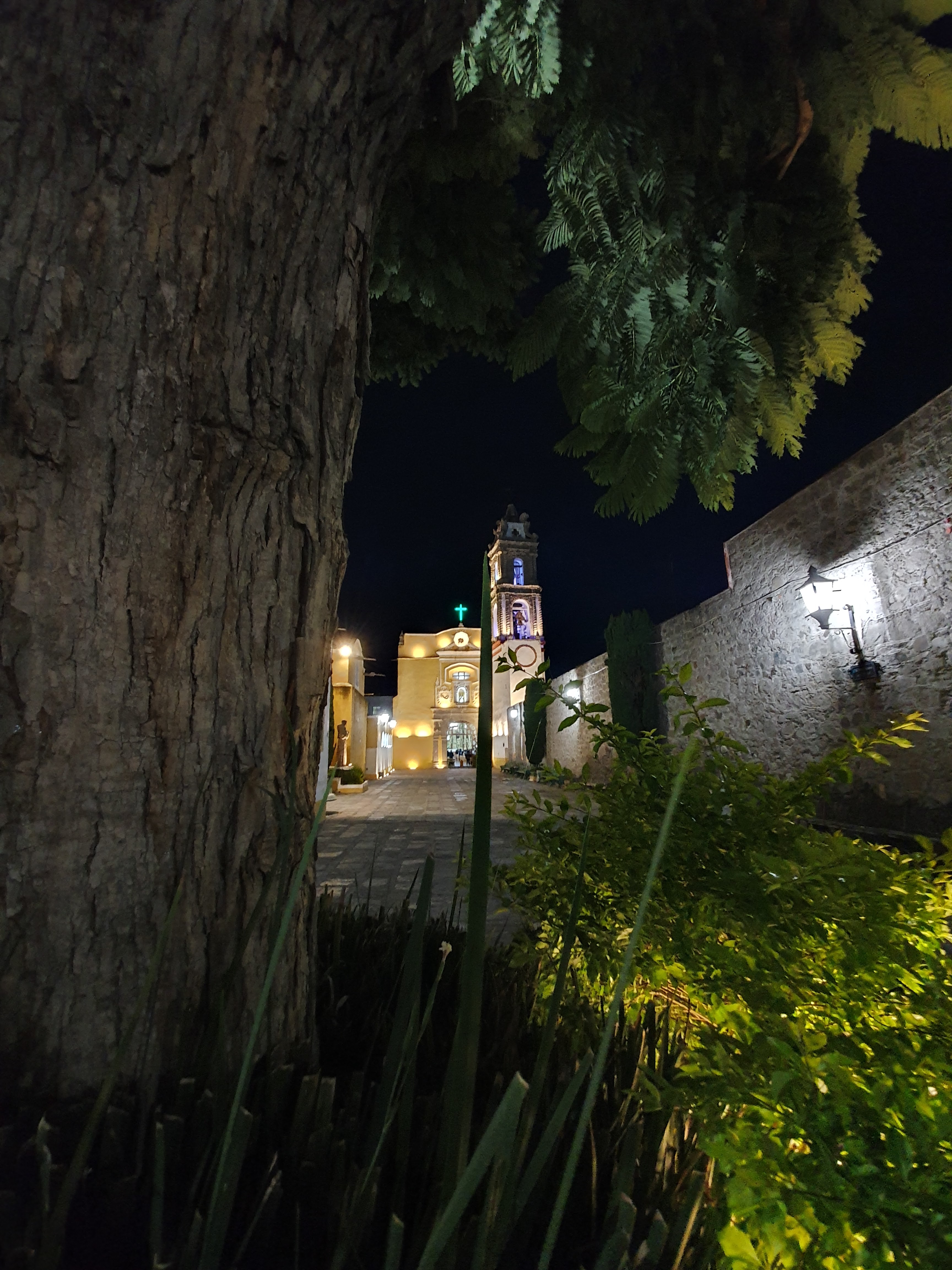 Chucho's Pizza image 10