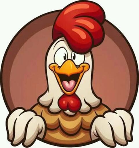 POLLO MACHIN image 4
