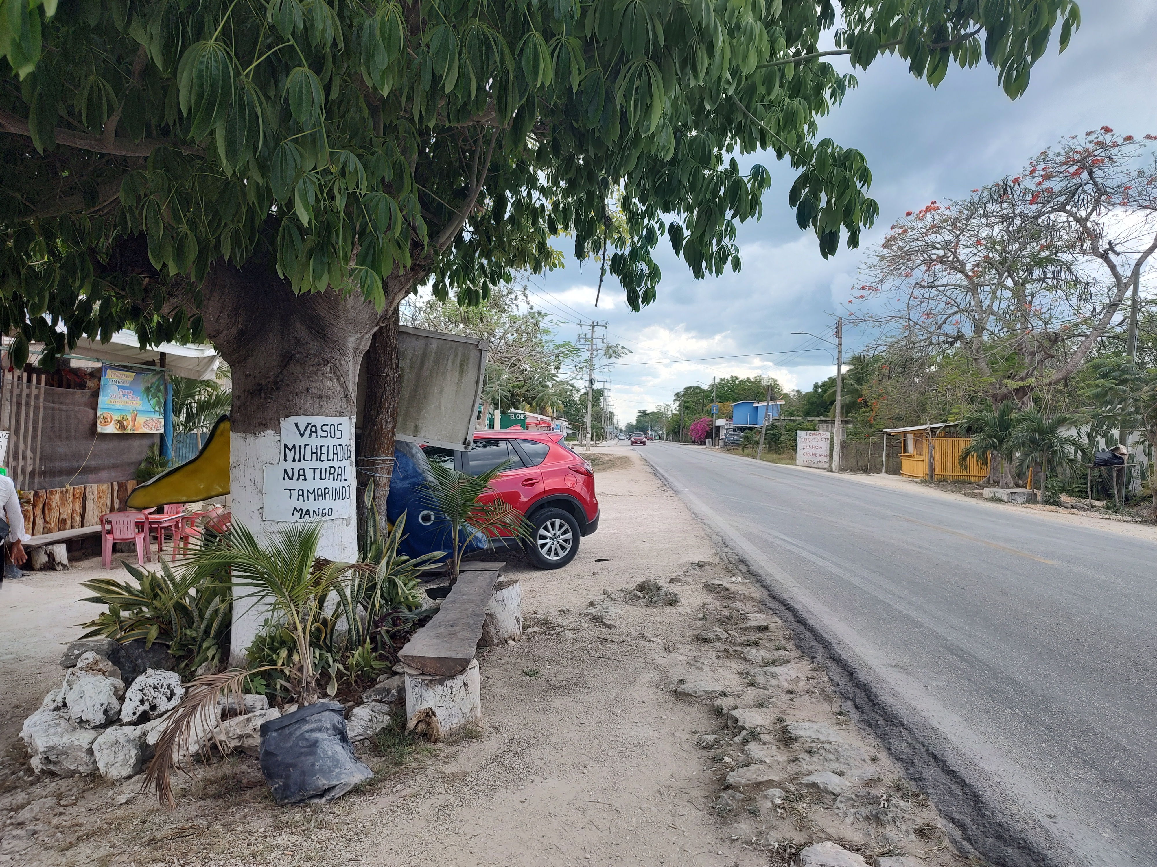 Carnitas ciudad Hidalgo Michoacán image 2