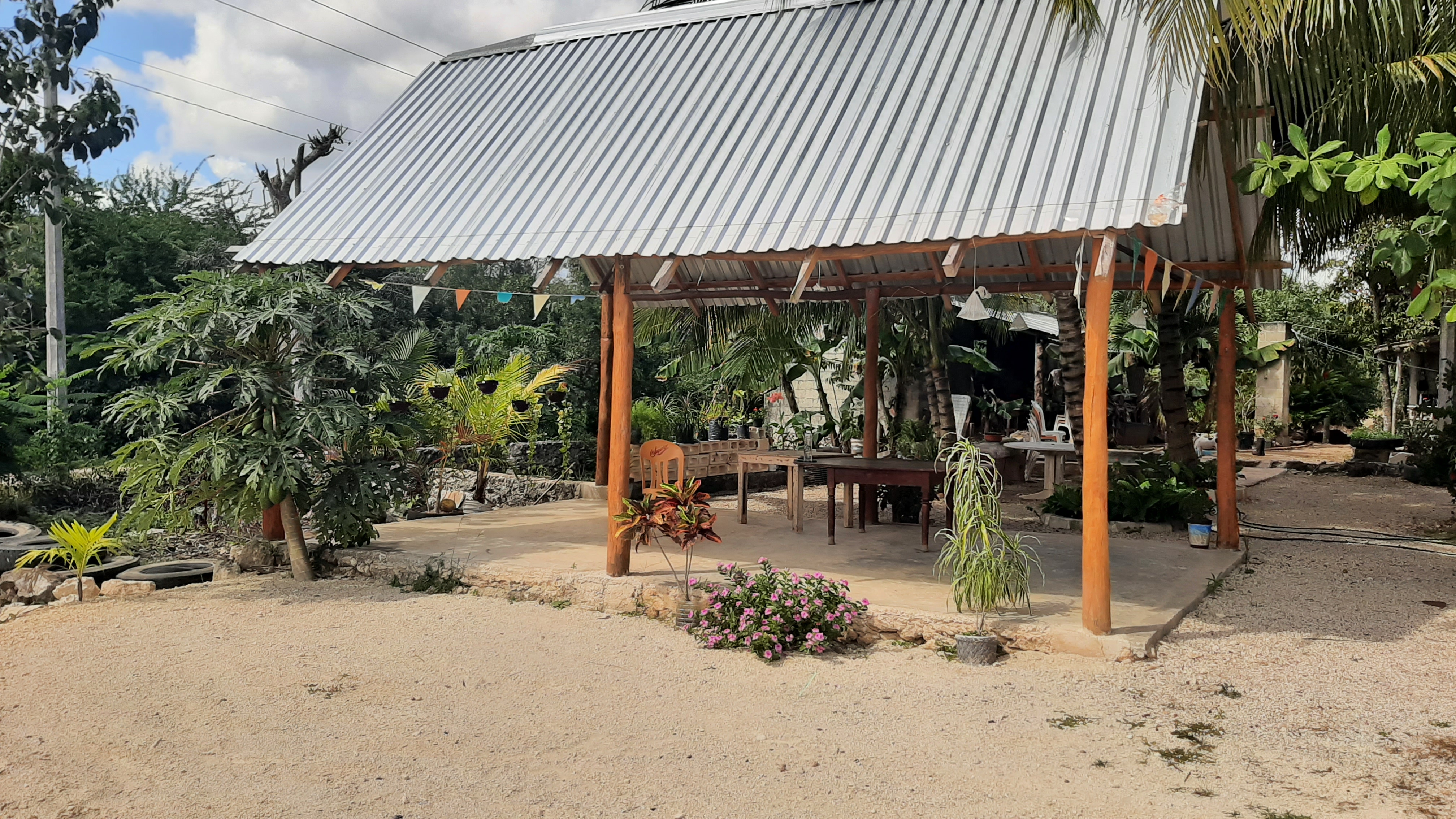 Pescado frito y desayunos image 5