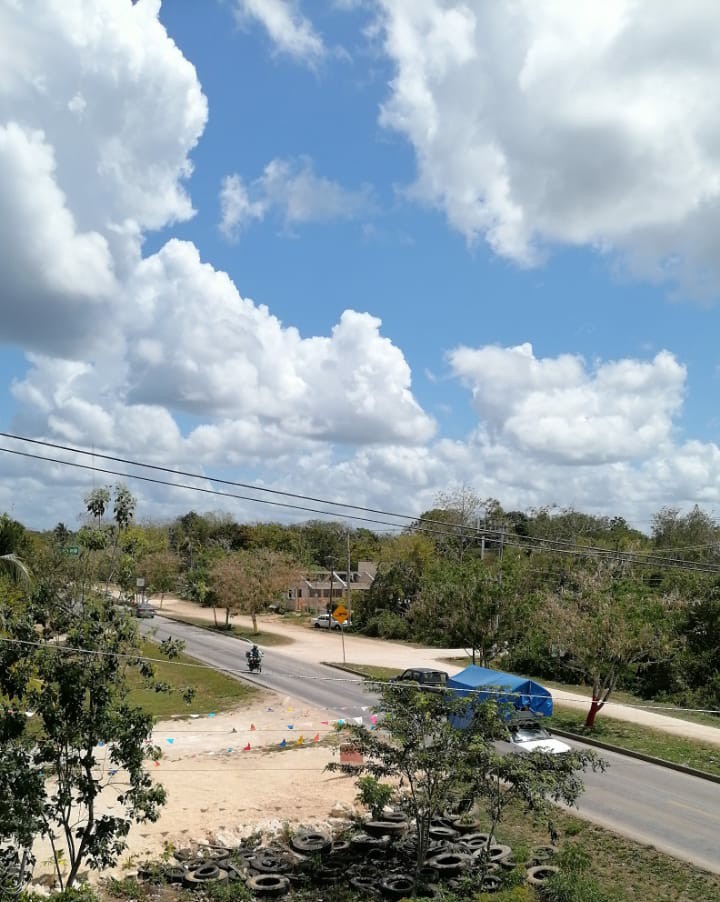 Pescado frito y desayunos image 6