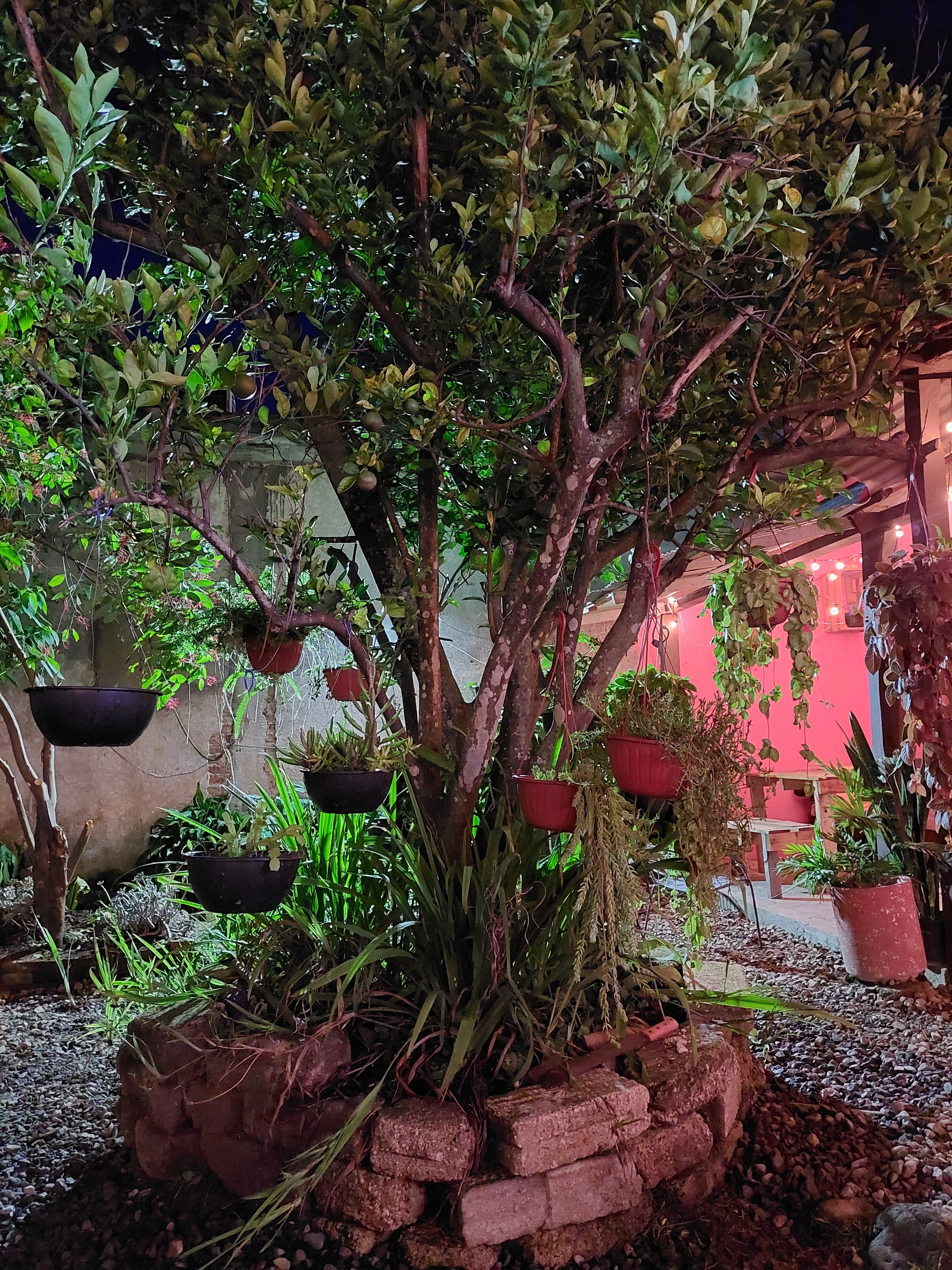 La Estación tacos image 9