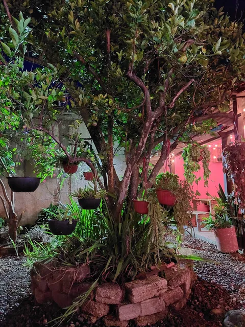 La Estación tacos image 9