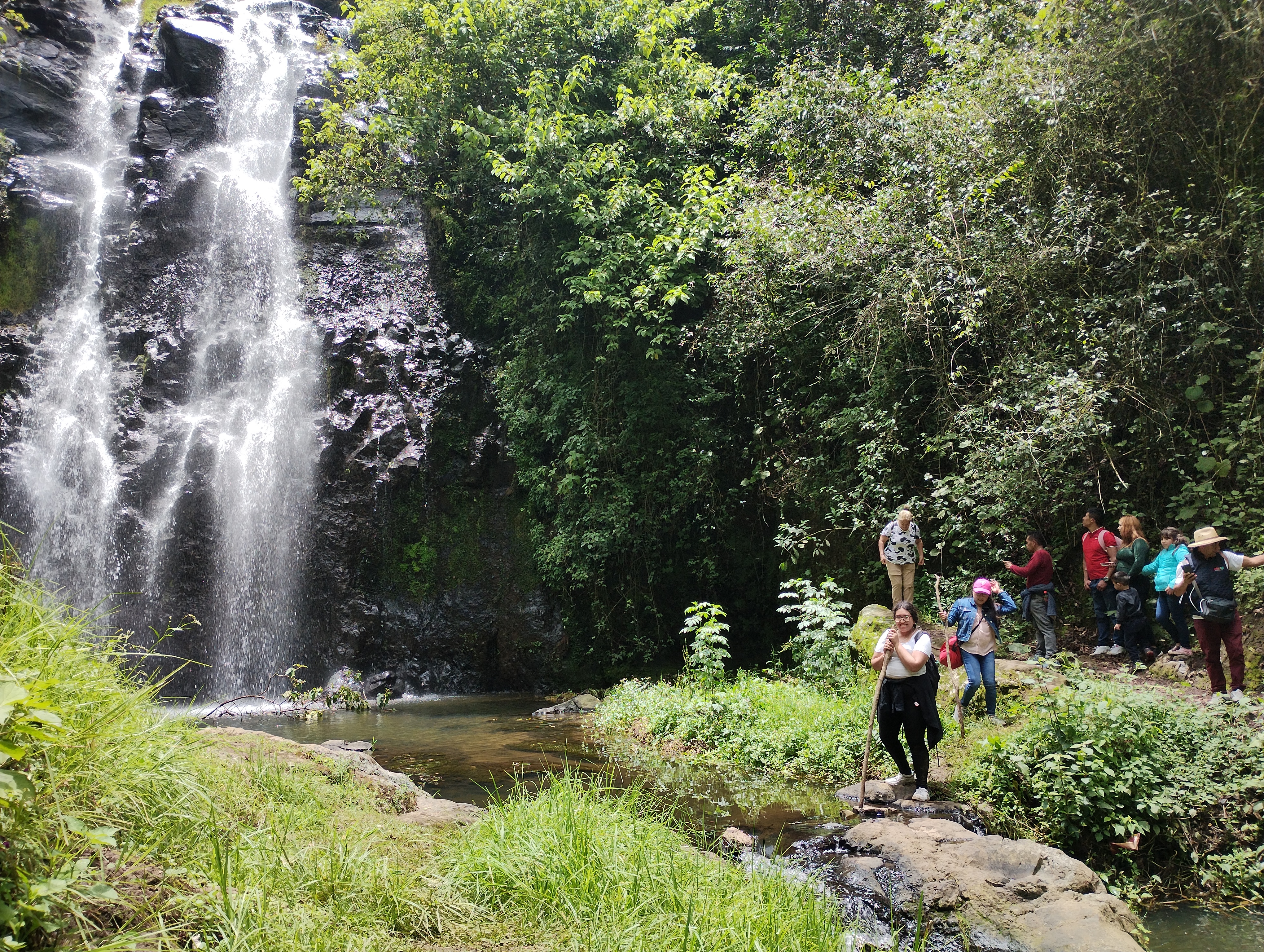 Cocina económica Gómez image 1