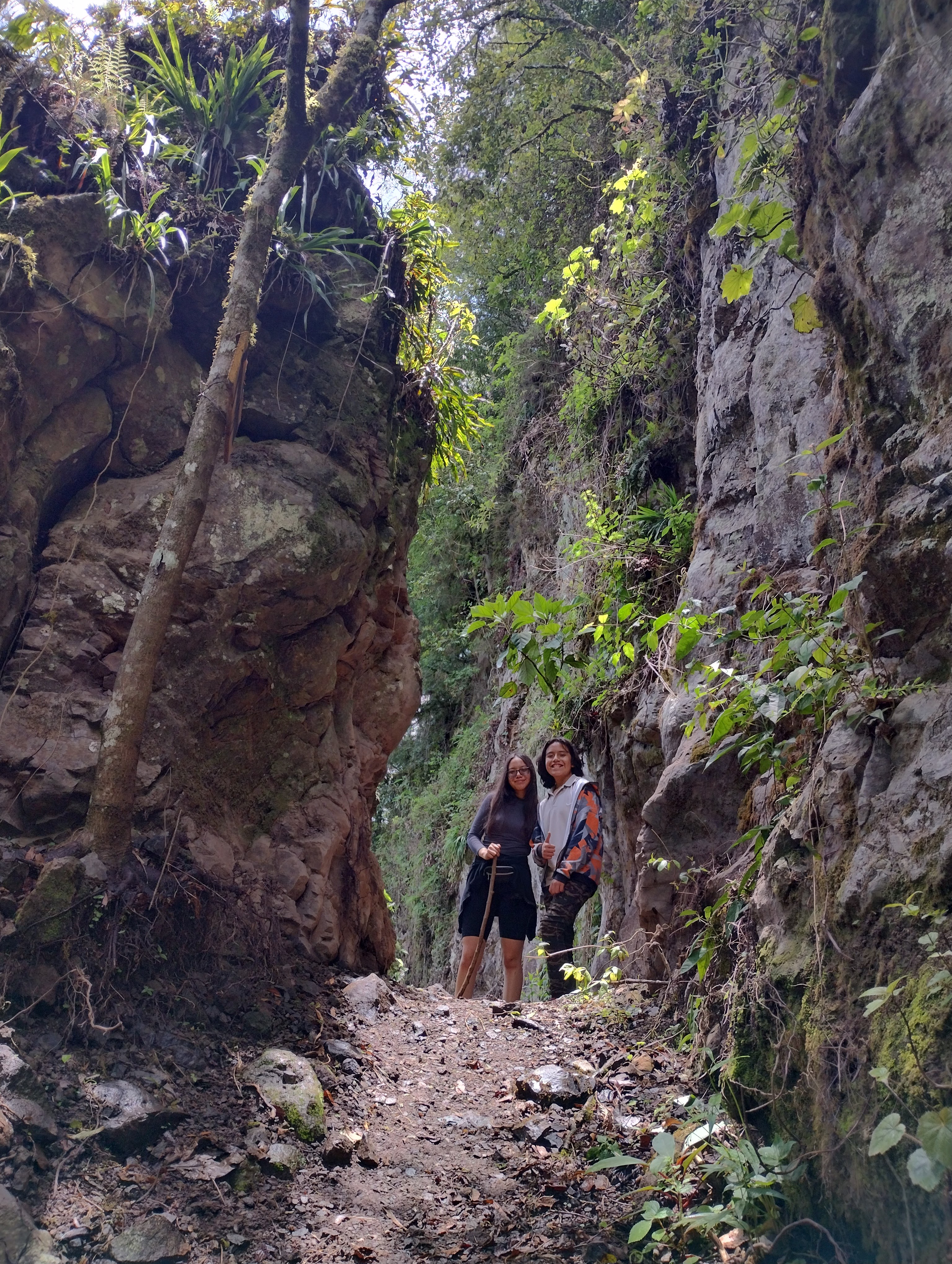 Cocina económica Gómez image 2
