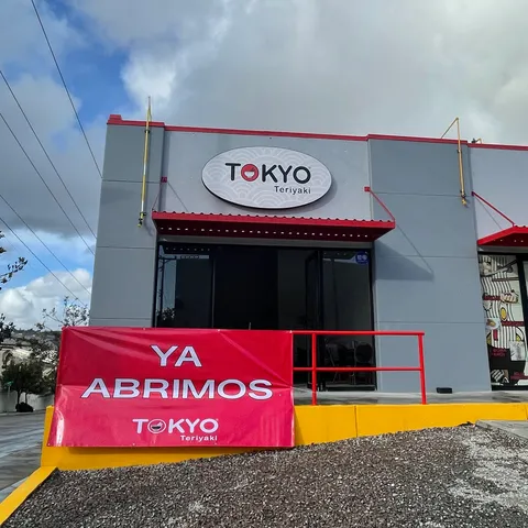 Tokyo Teriyaki image 1