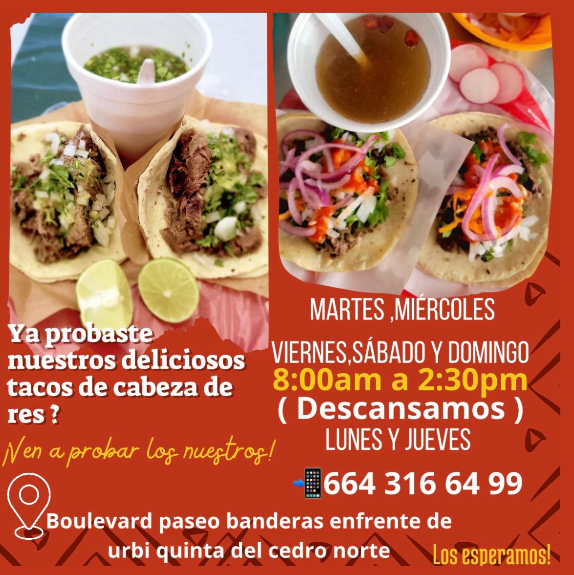 Cabeza de Res JR image 7