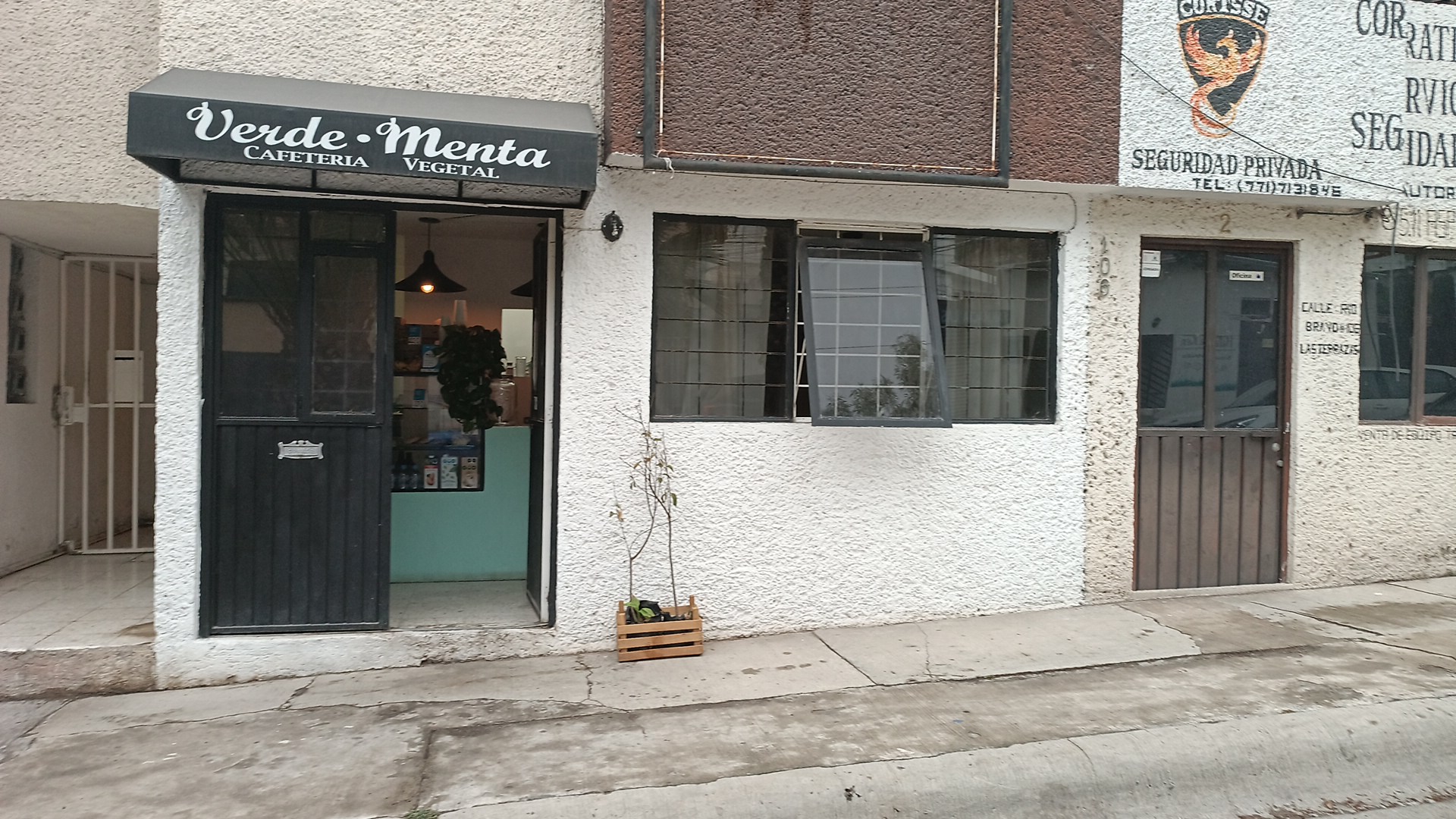 Verde Menta Cafetería Vegetal image 1