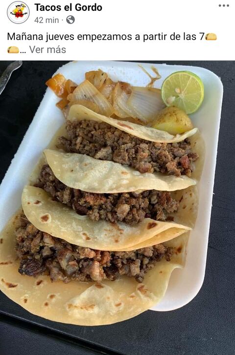 Tacos el Gordo image 3