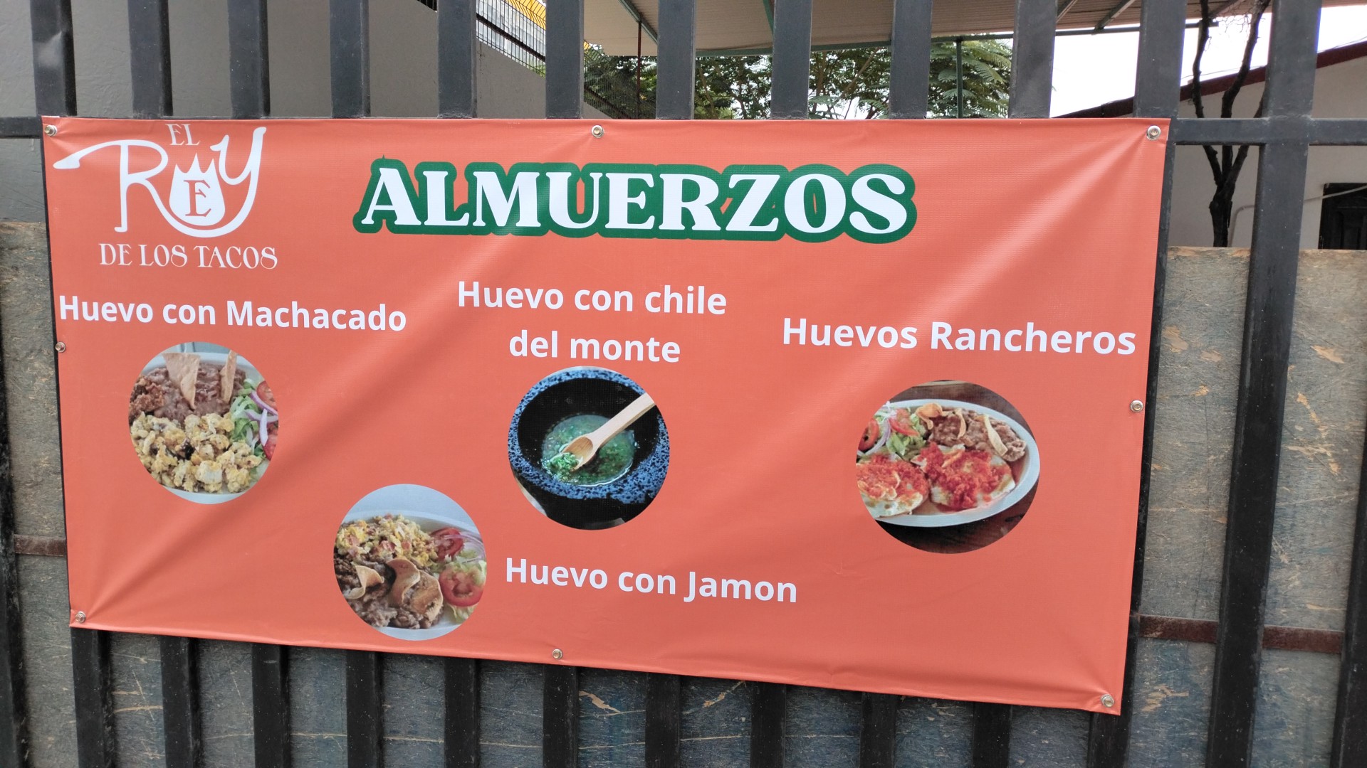 REY DE LOS TACOS image 5