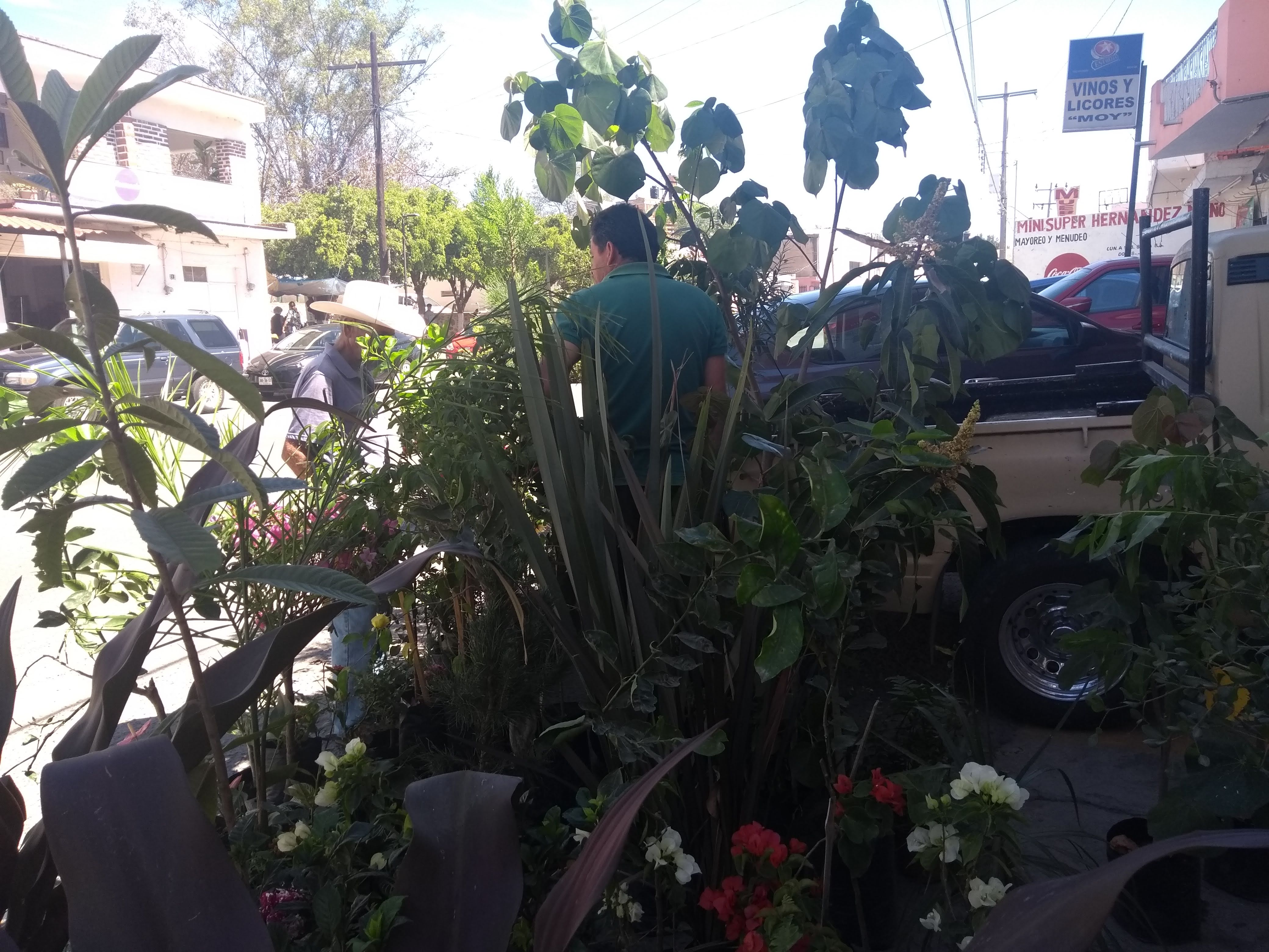 Birrieria El Pato image 2