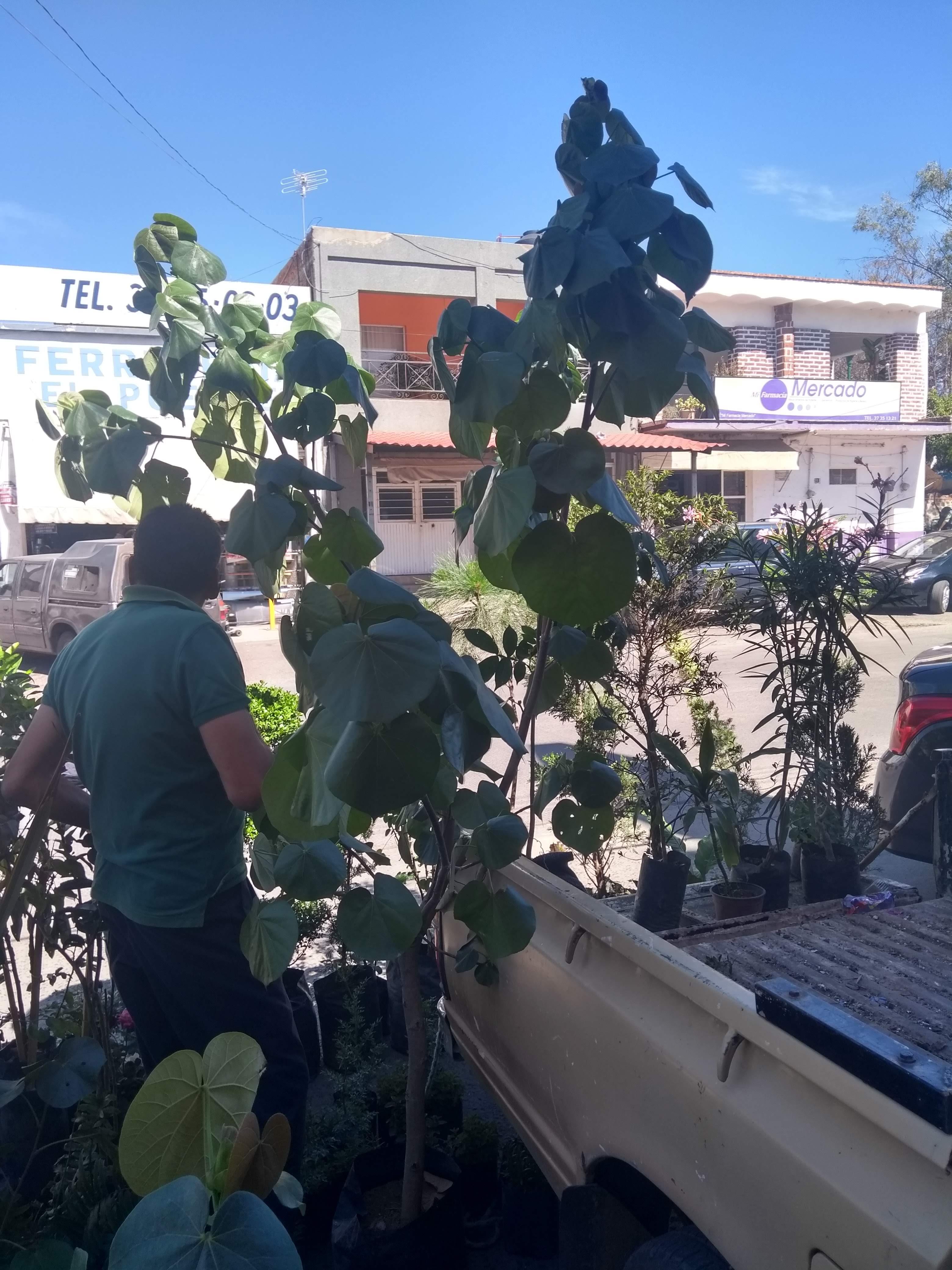 Birrieria El Pato image 4