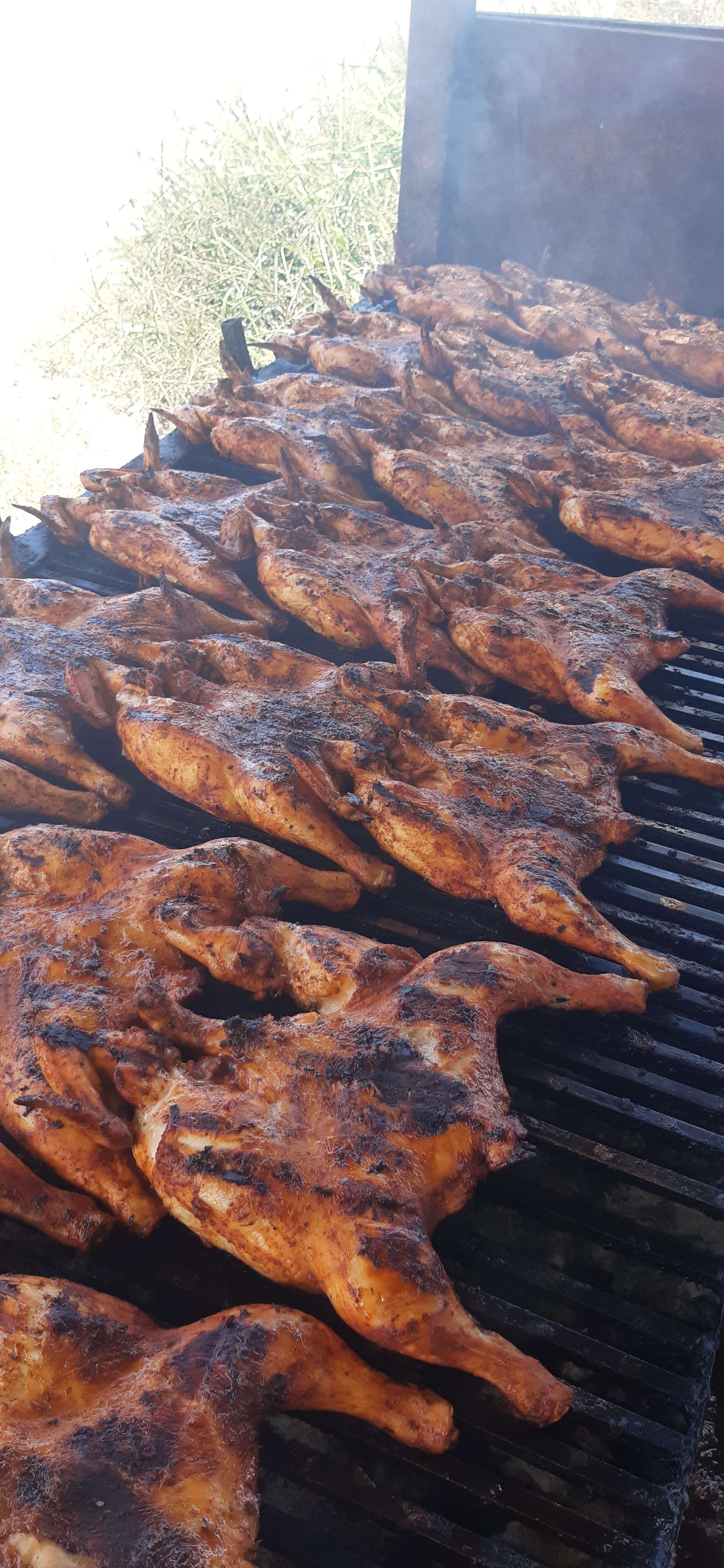 POLLOS ASADOS Y CARNE ASADA "EL ROBLE" image 2
