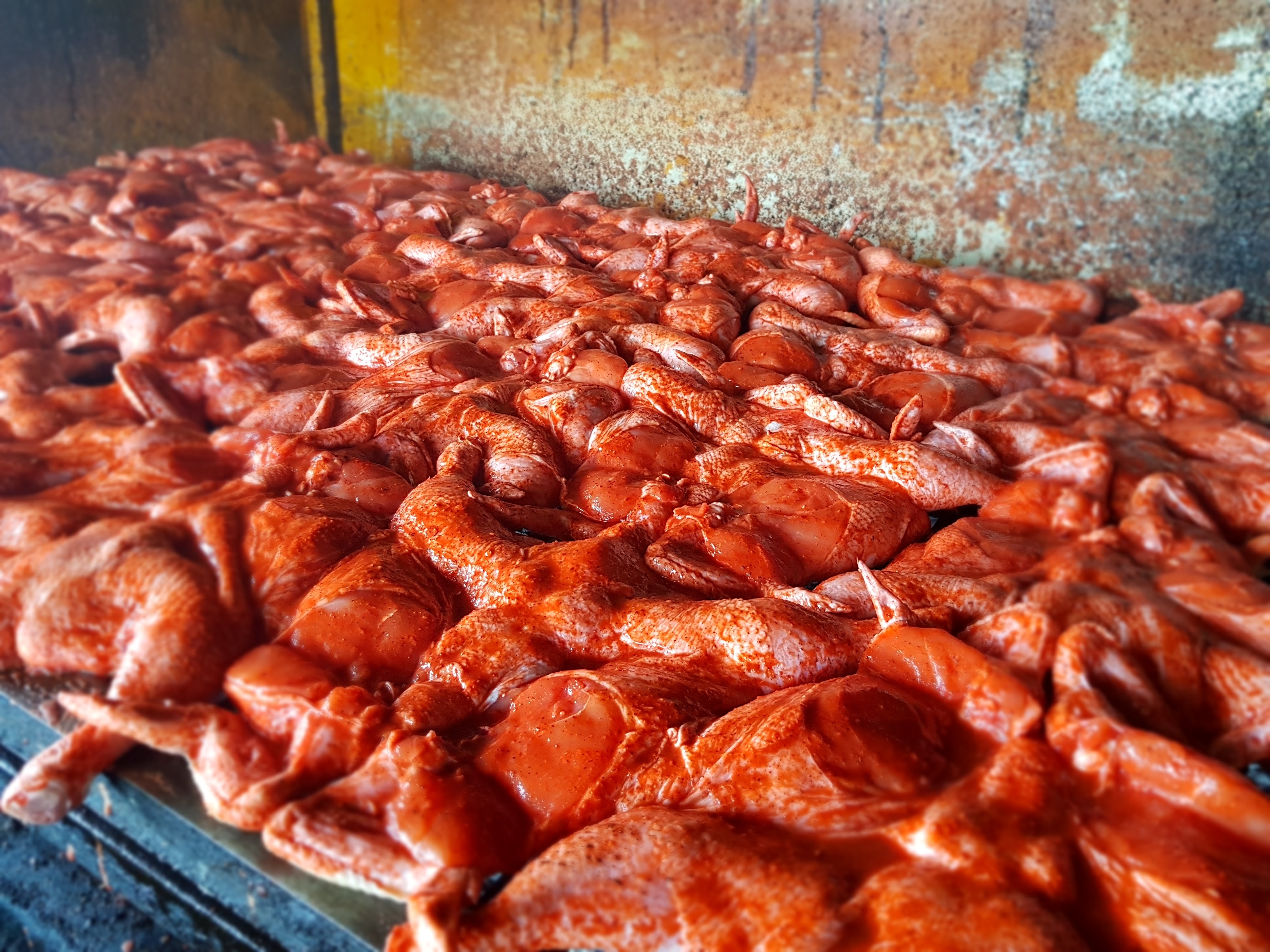 ASADERO EL PEDREGAL image 2