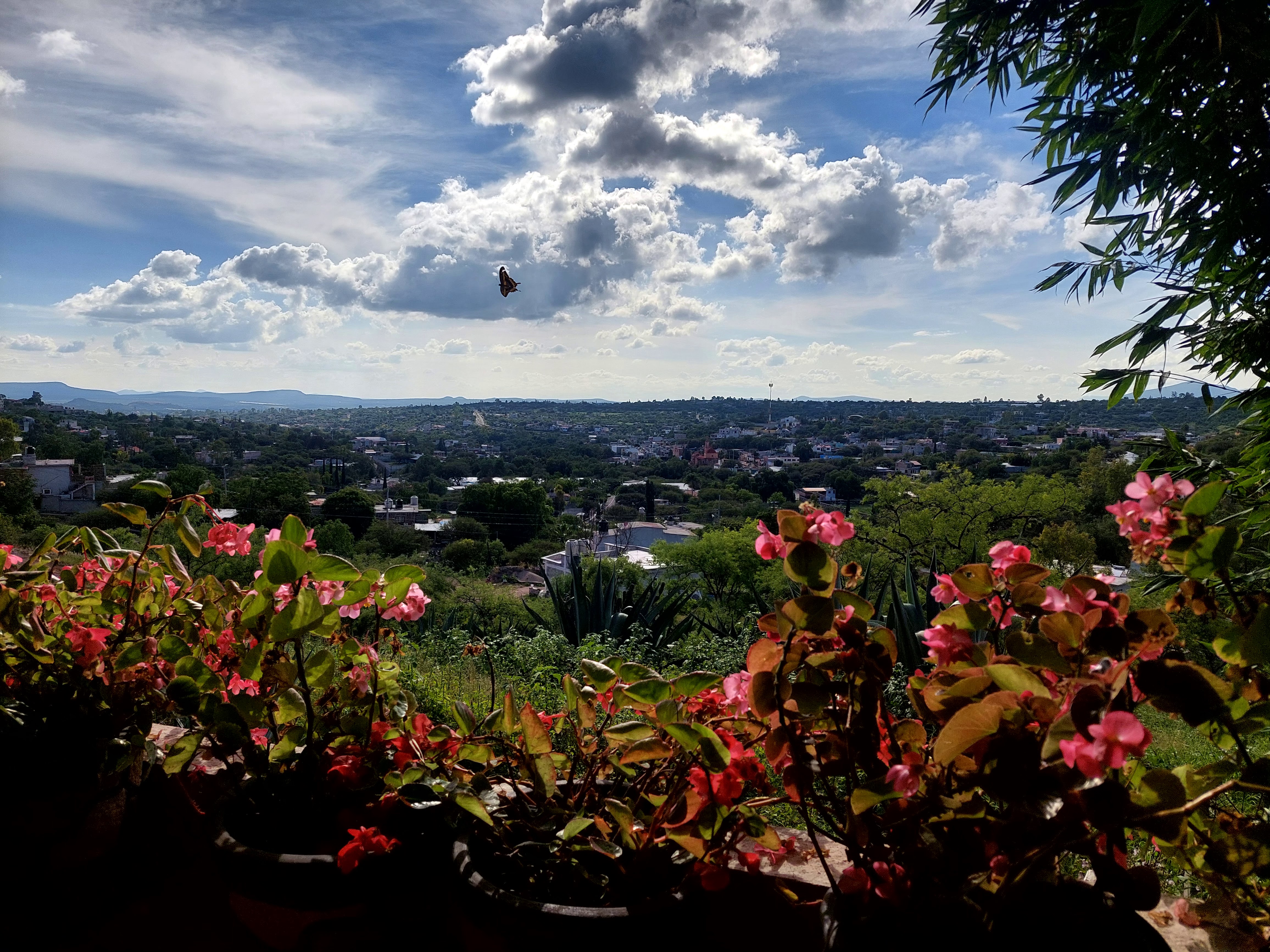 Pizzas Pronto image 3