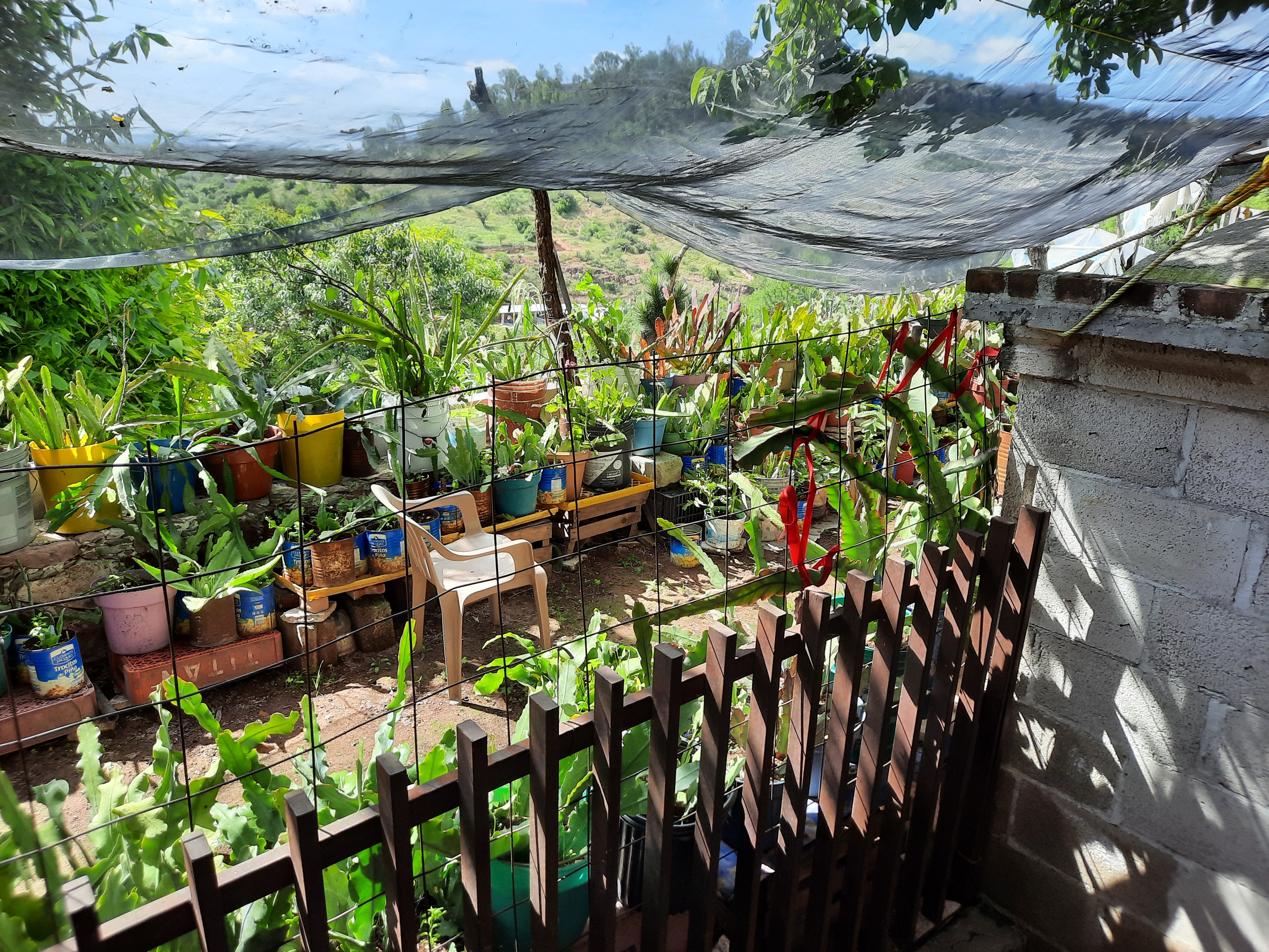 Pizzas Pronto image 9