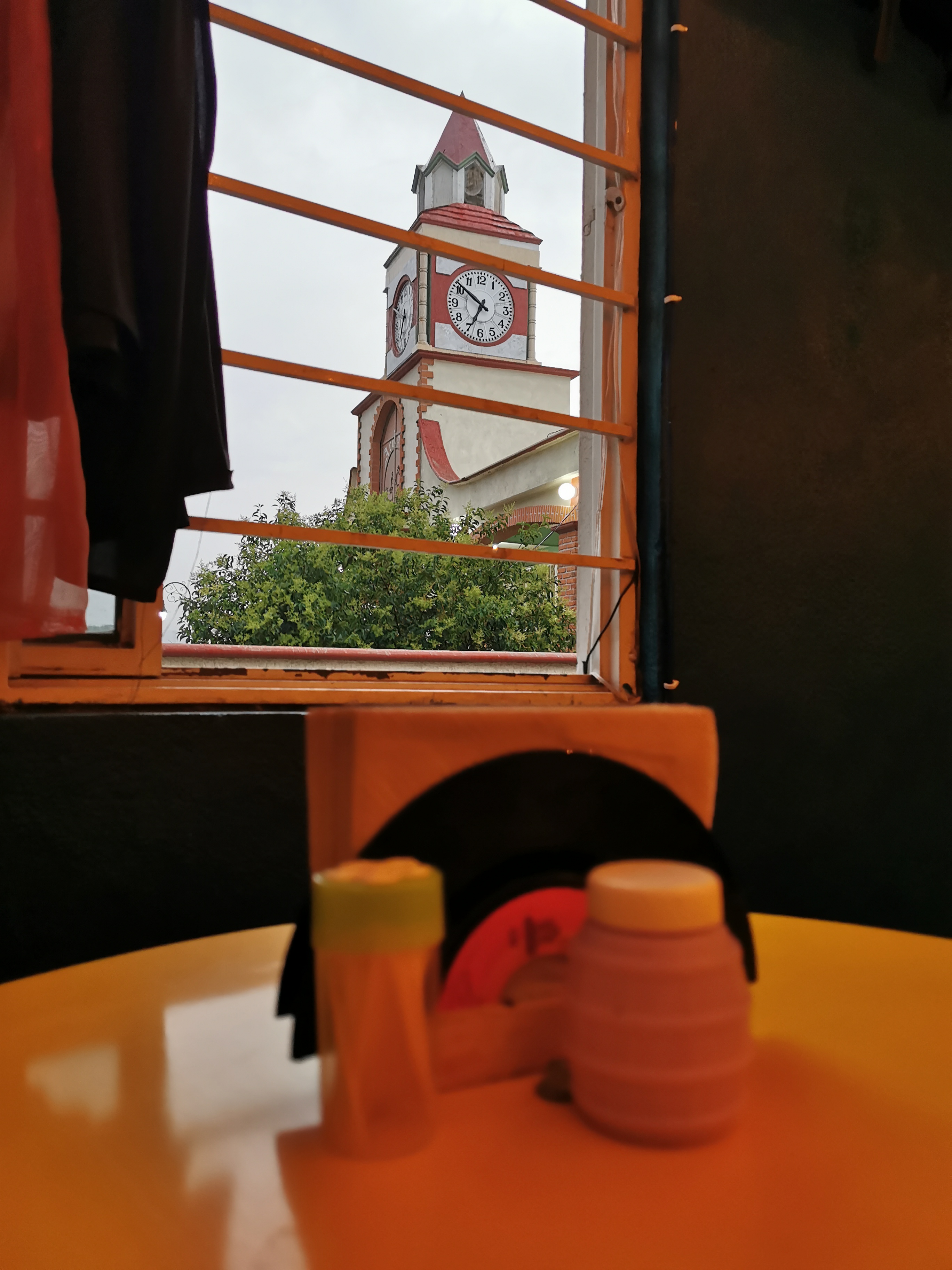 HOT DOGS DE 1/2 METRO( SIBERIAN DOGS) image 8