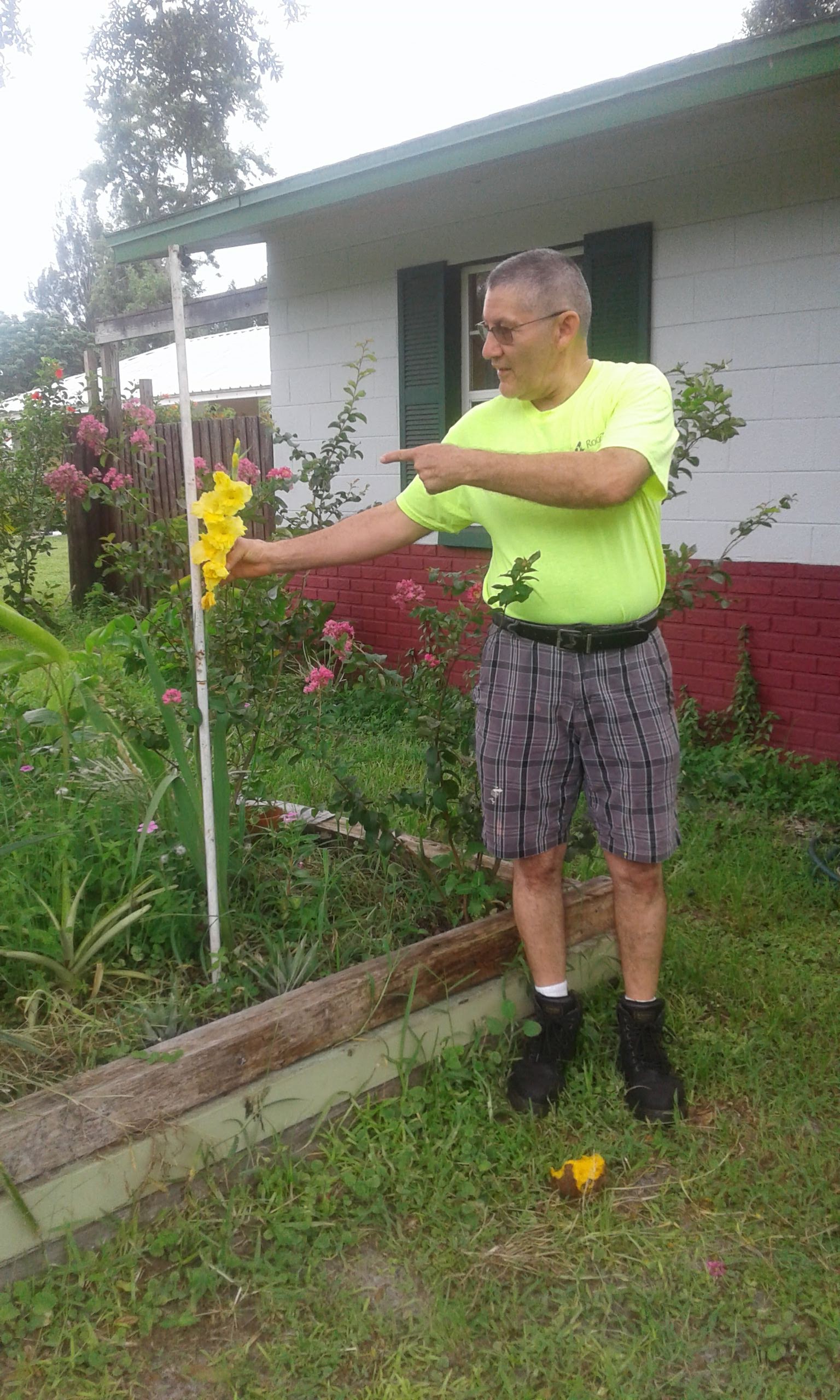 Miscelánea Sol image 2