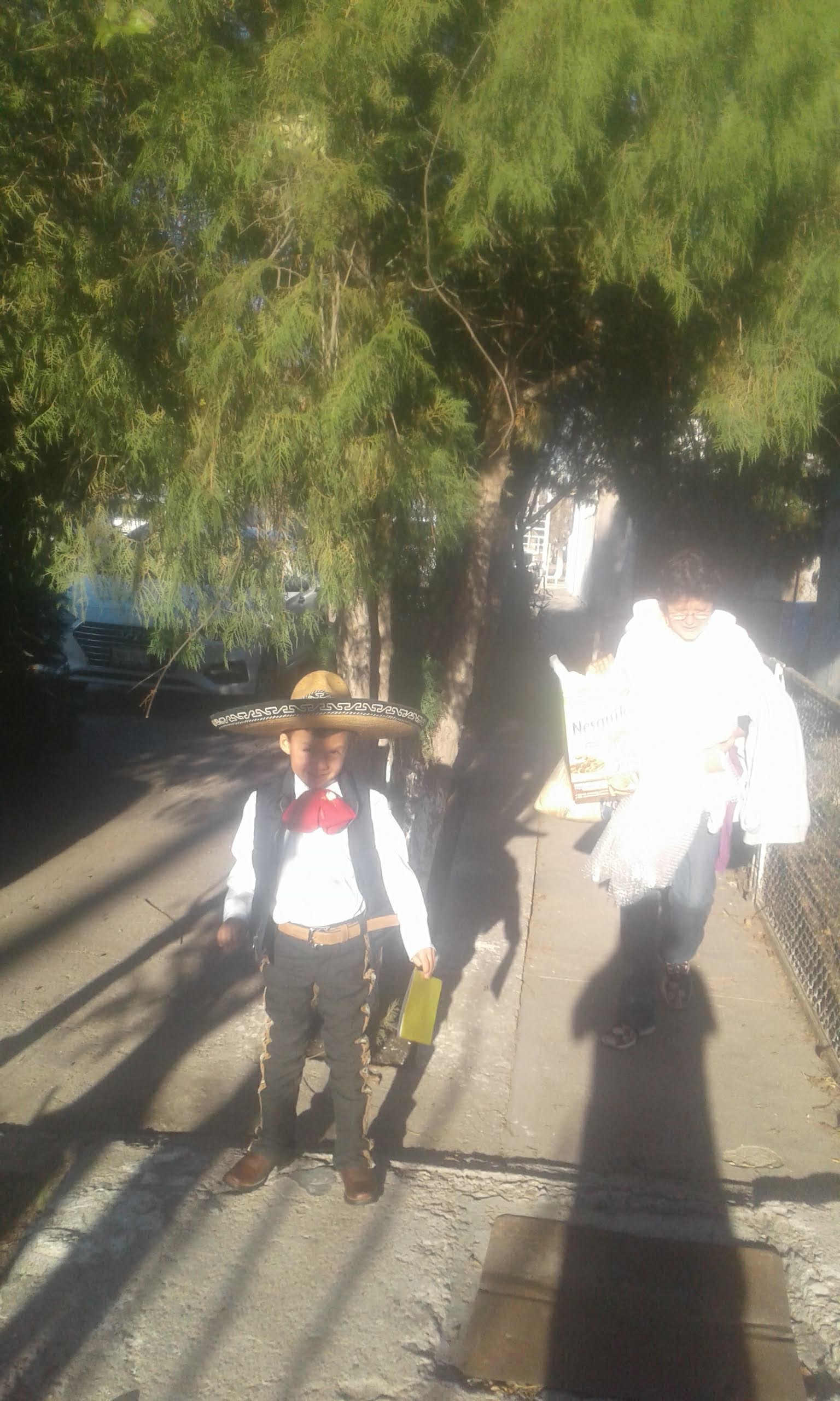 Miscelánea Sol image 4