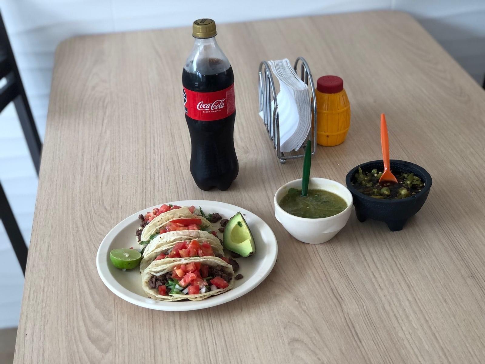 Borrego rosales image 1