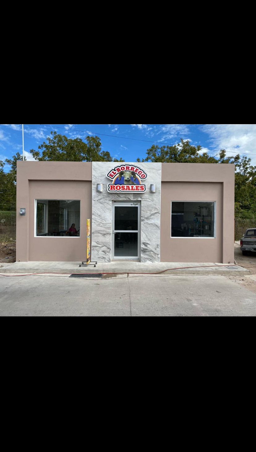 Borrego rosales image 2