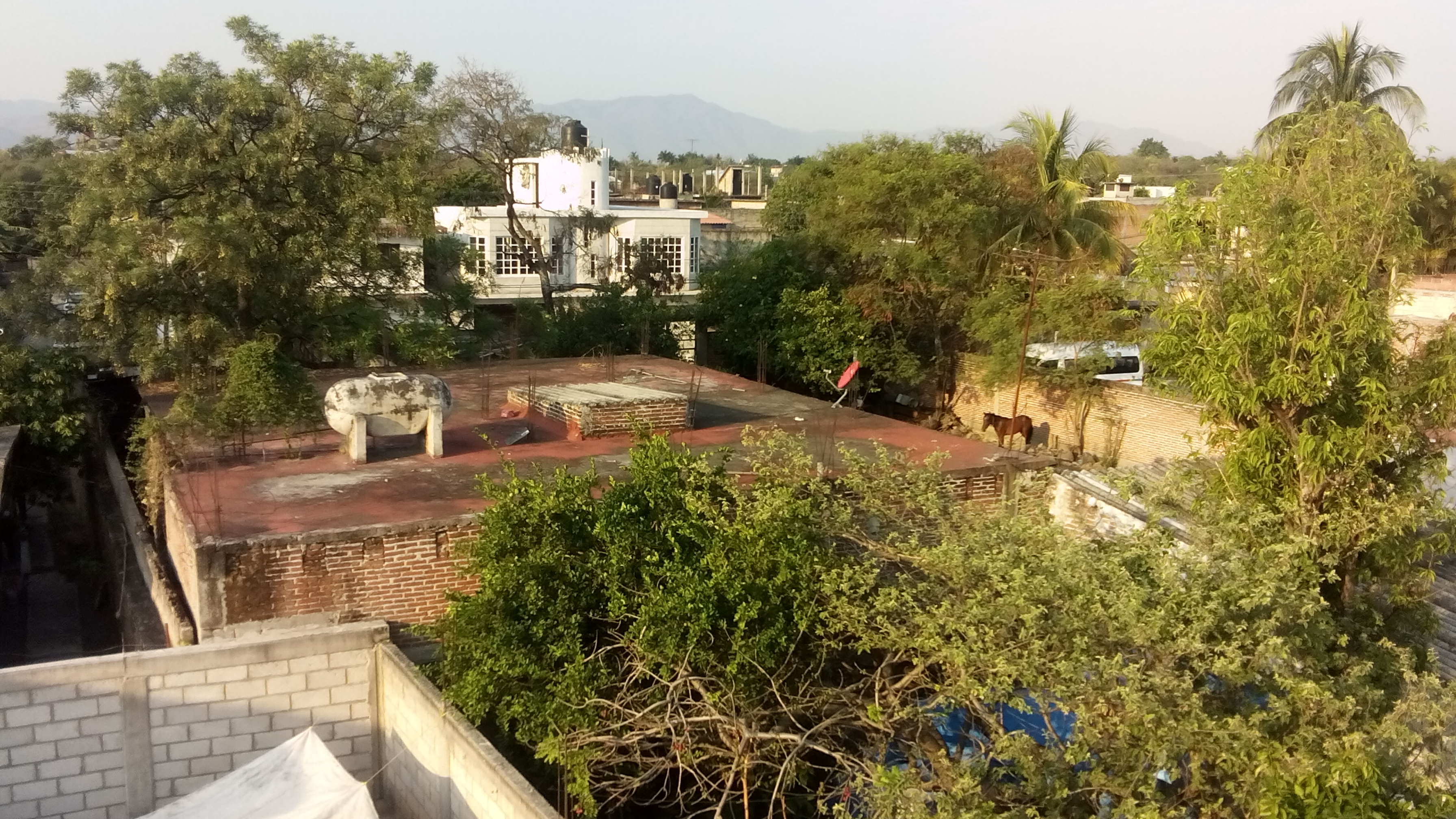 Gordas Doña Robe image 2