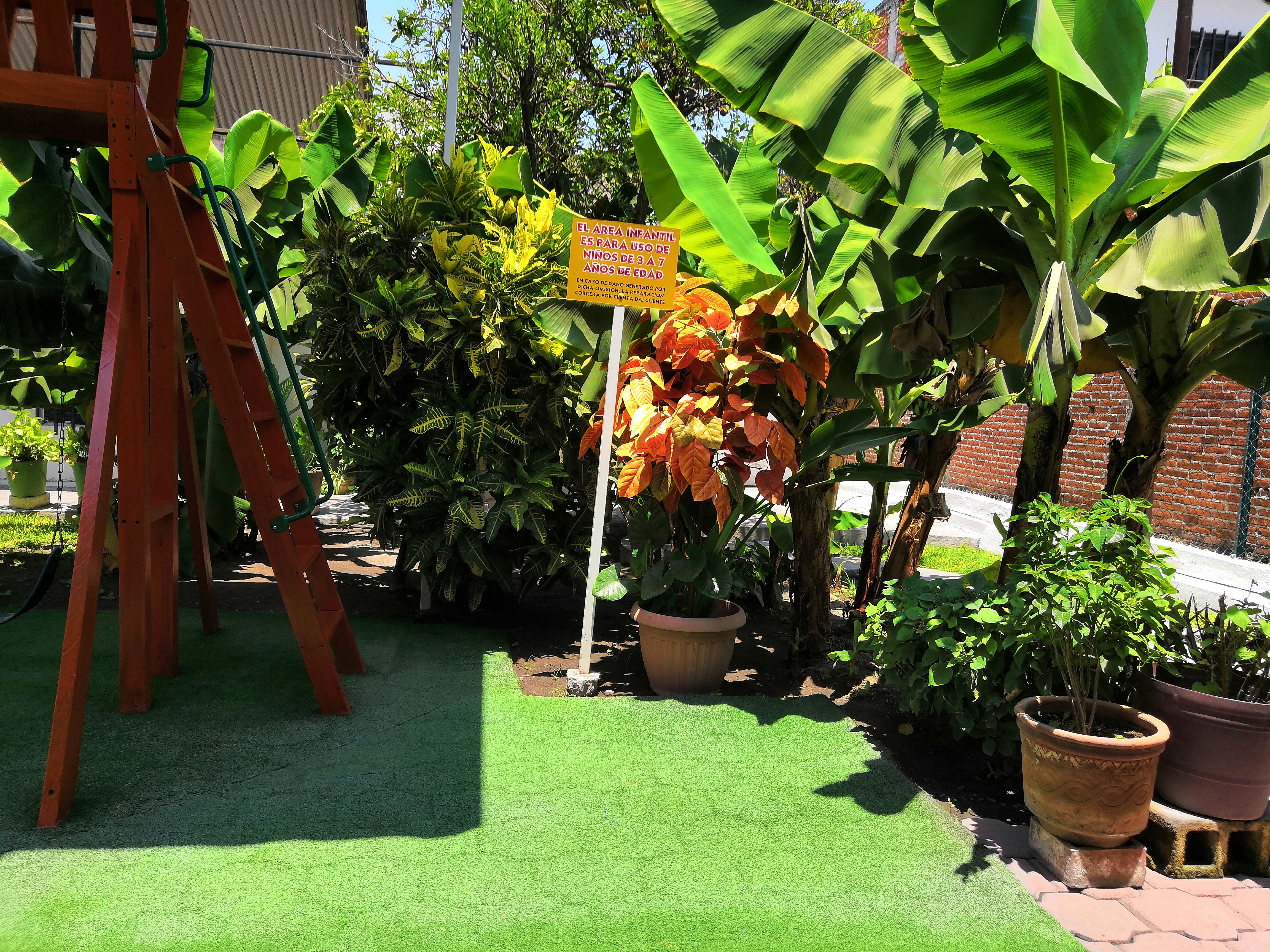 Super lunch image 10