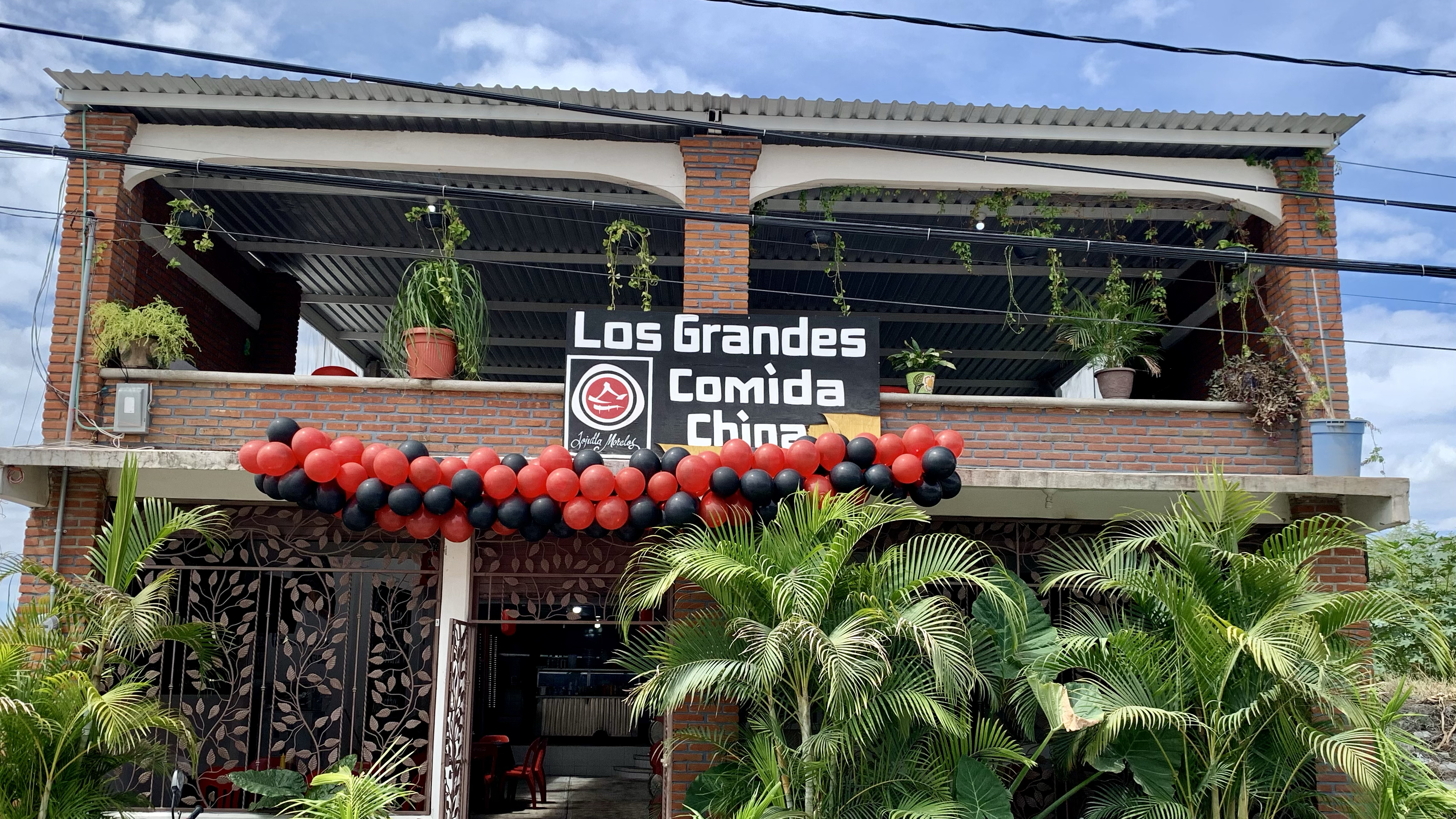 Comida china "Los grandes" jojutla image 3