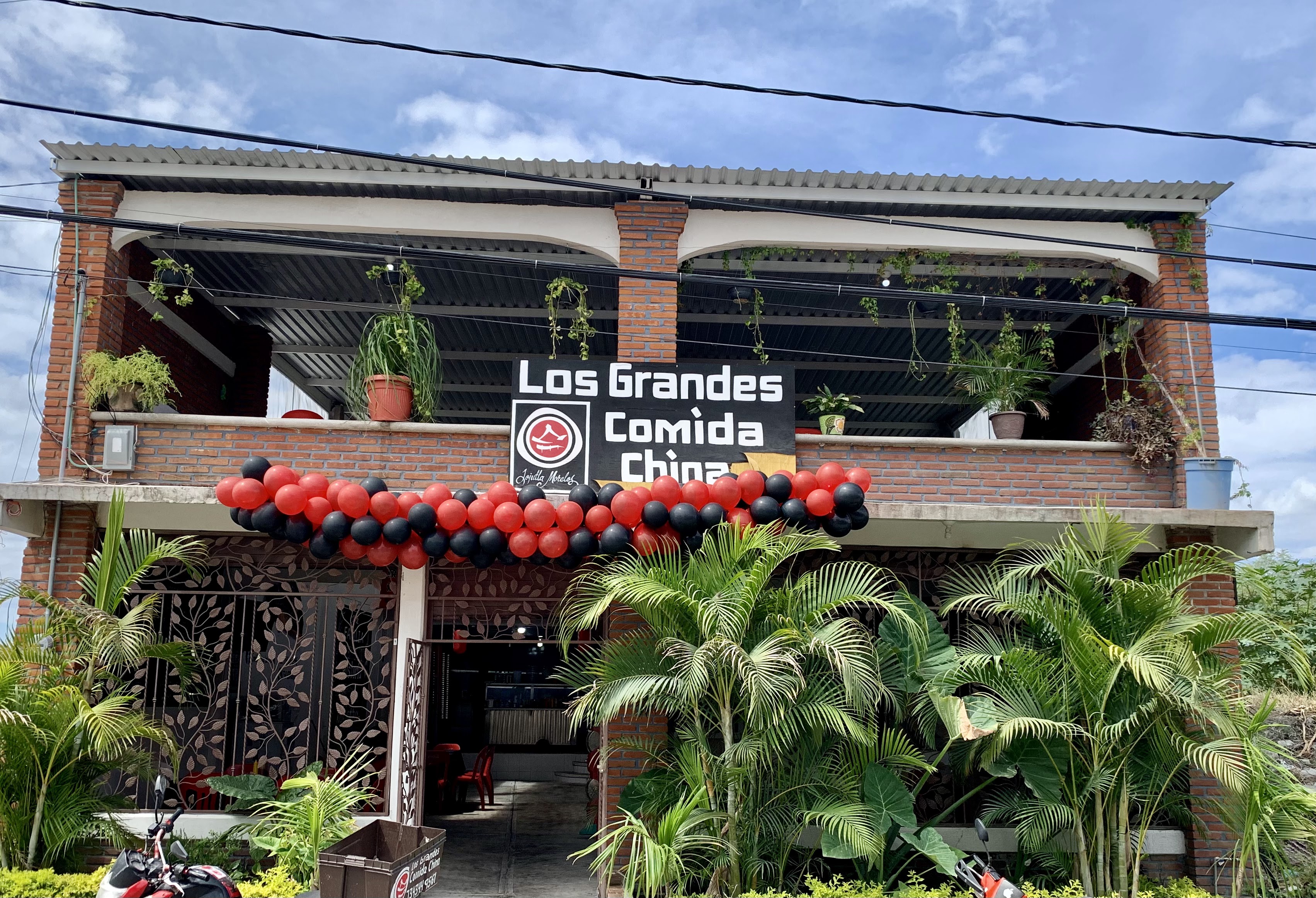 Comida china "Los grandes" jojutla image 6