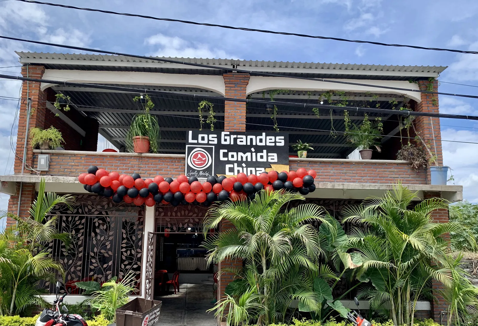 Comida china "Los grandes" jojutla image 6