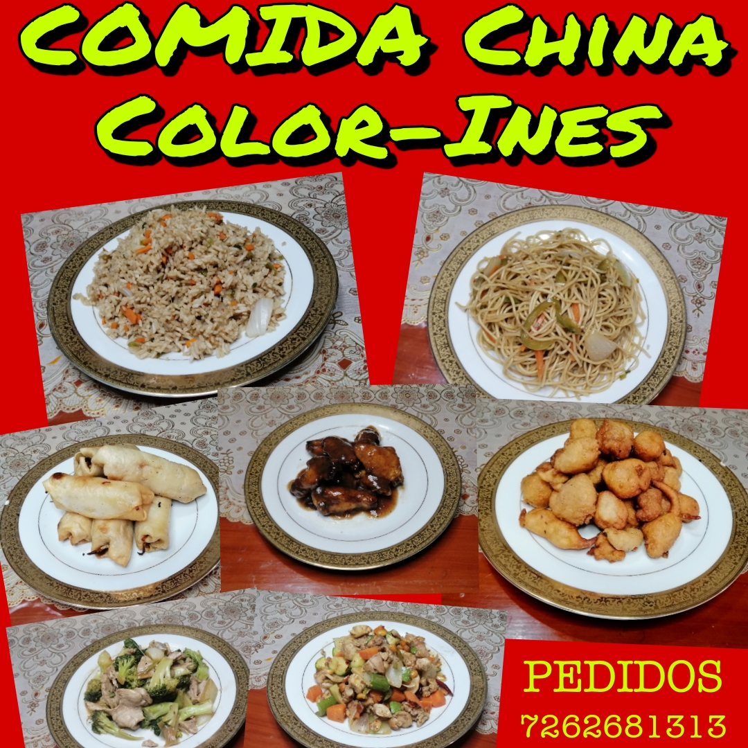 Comida China Color- INÉS image 3