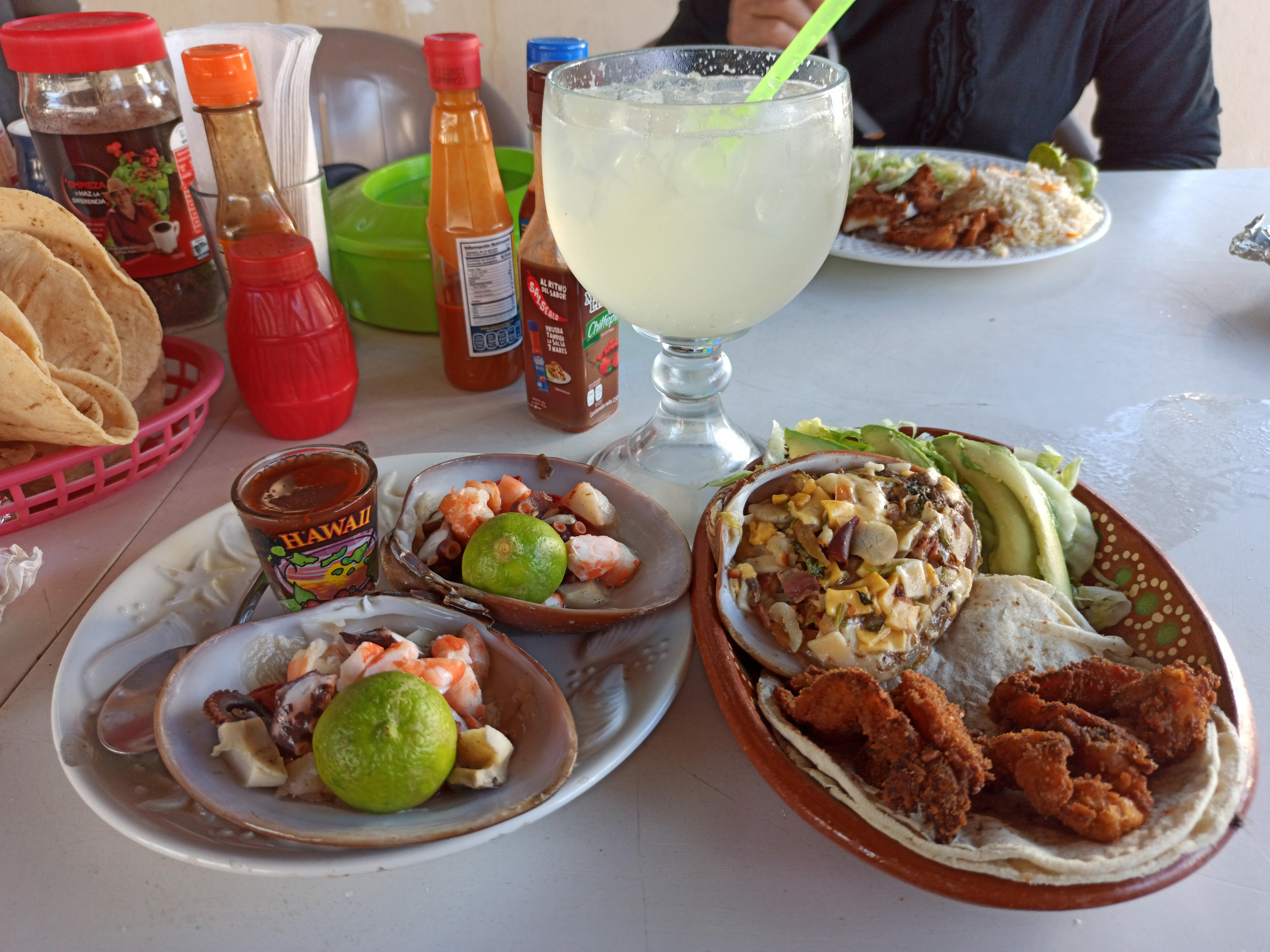 El Tiburón de San Carlos image 2