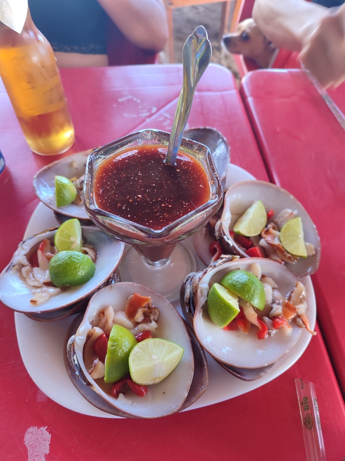 El Tiburón de San Carlos image 3