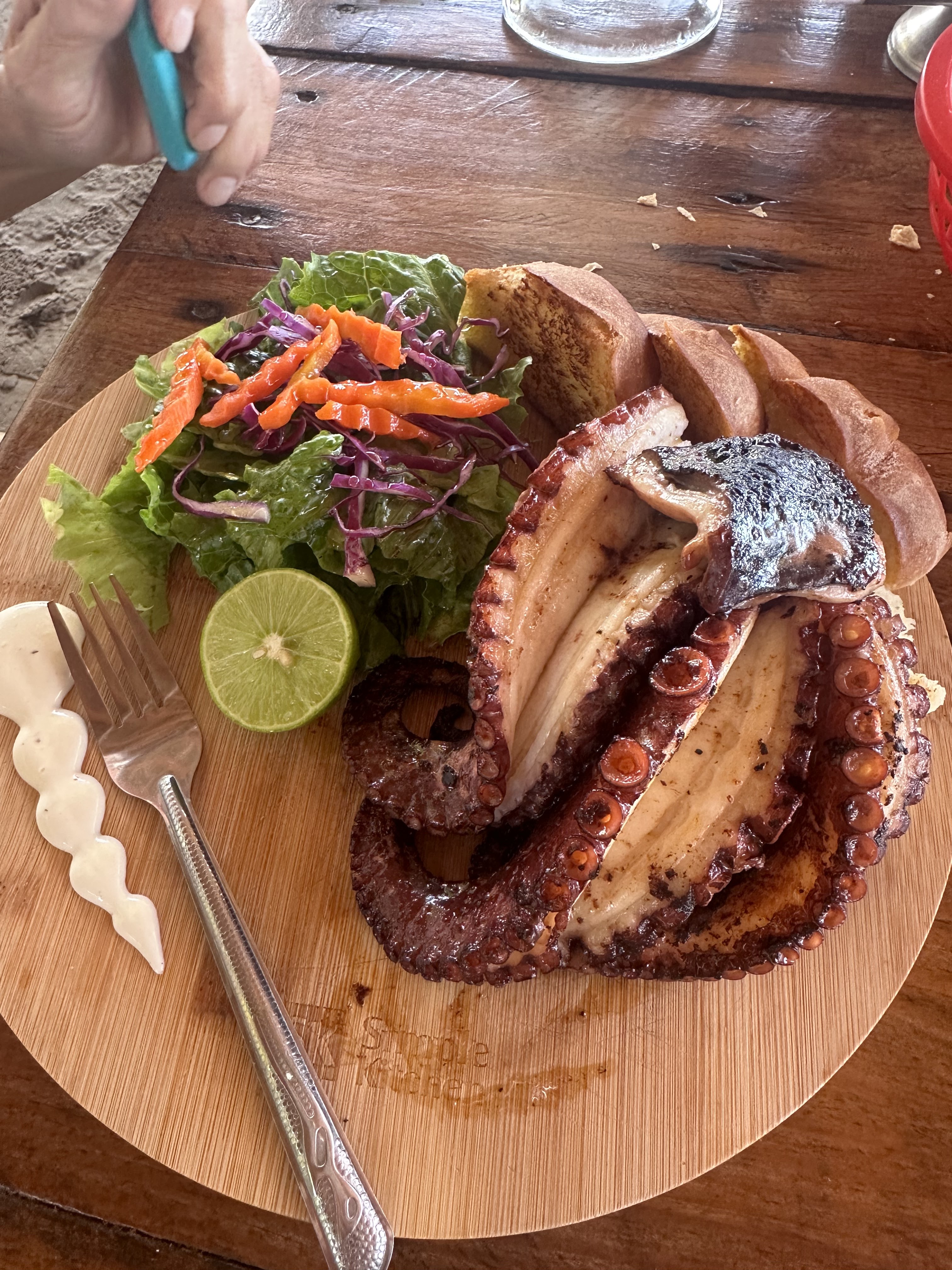 El Tiburón de San Carlos image 4