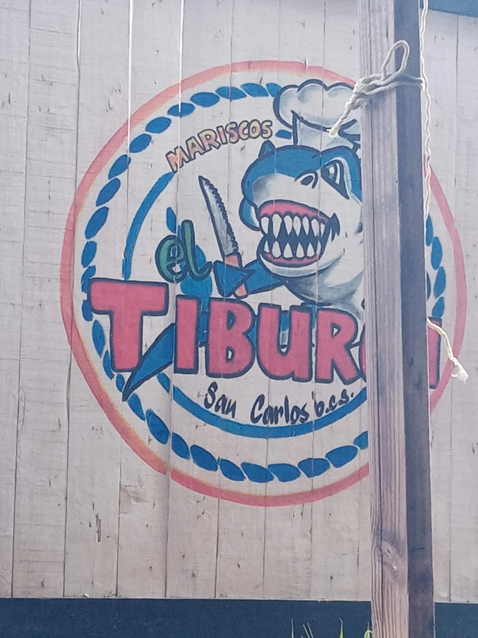 El Tiburón de San Carlos image 5