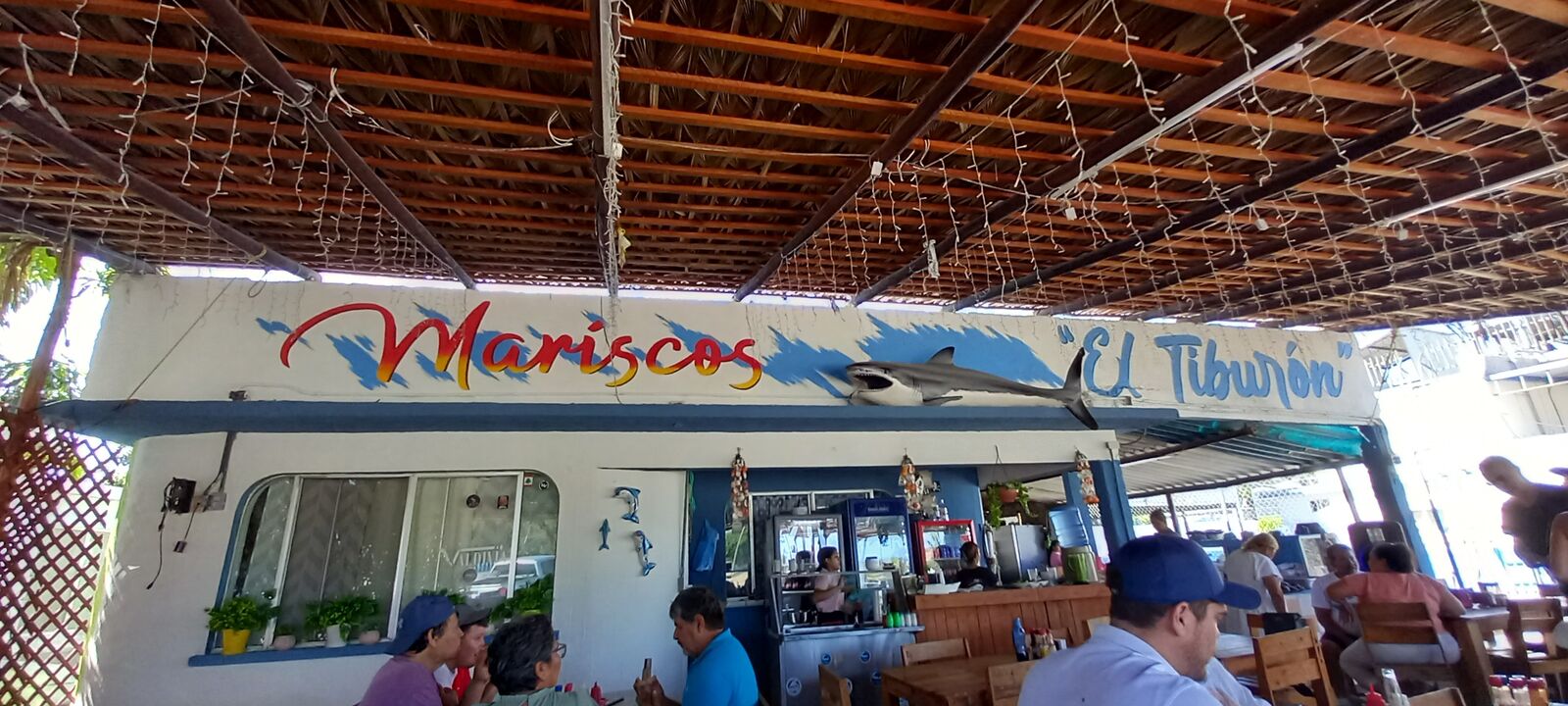 El Tiburón de San Carlos image 10