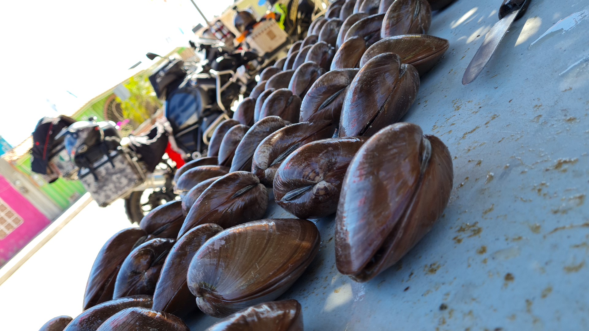 Chocolatas frescas la HOMY image 4