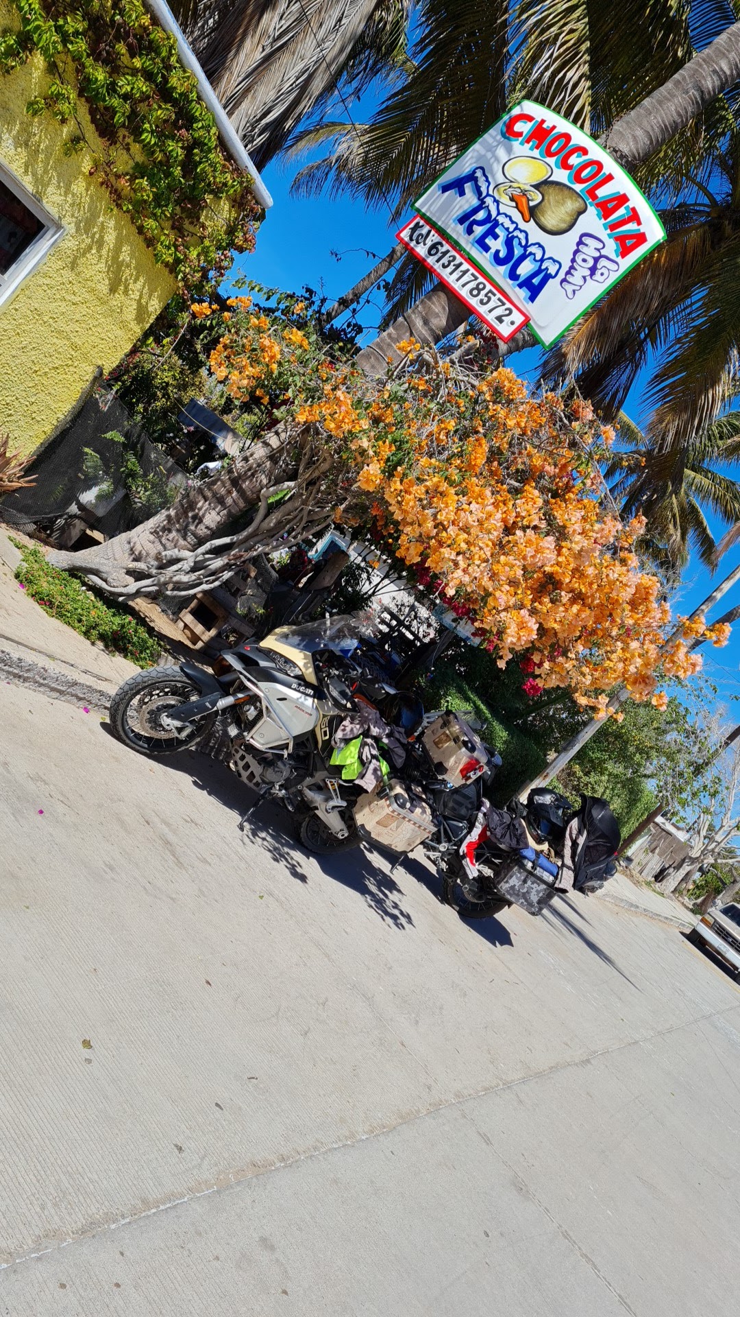 Chocolatas frescas la HOMY image 7