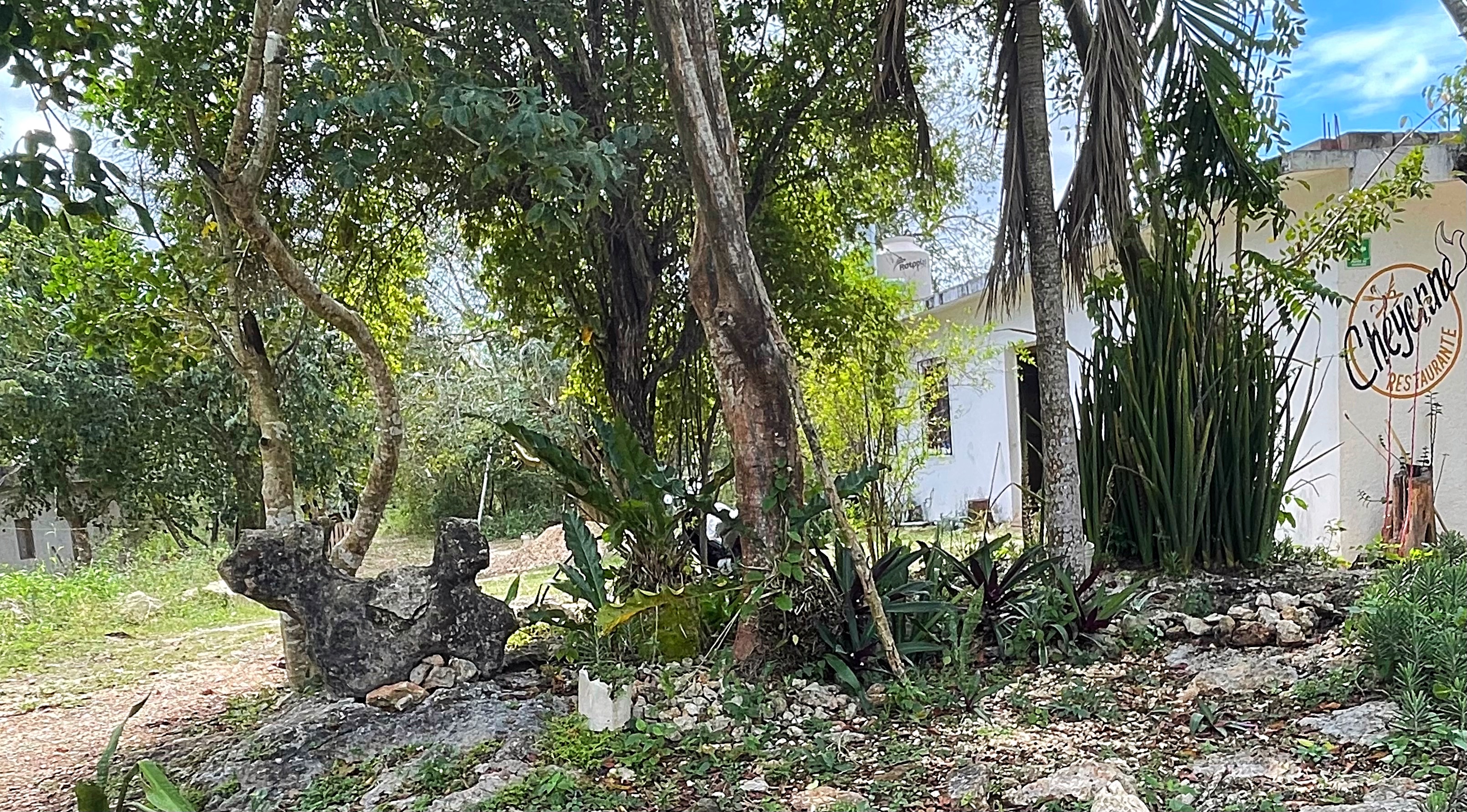 Restaurante Familiar Cheyenne image 5