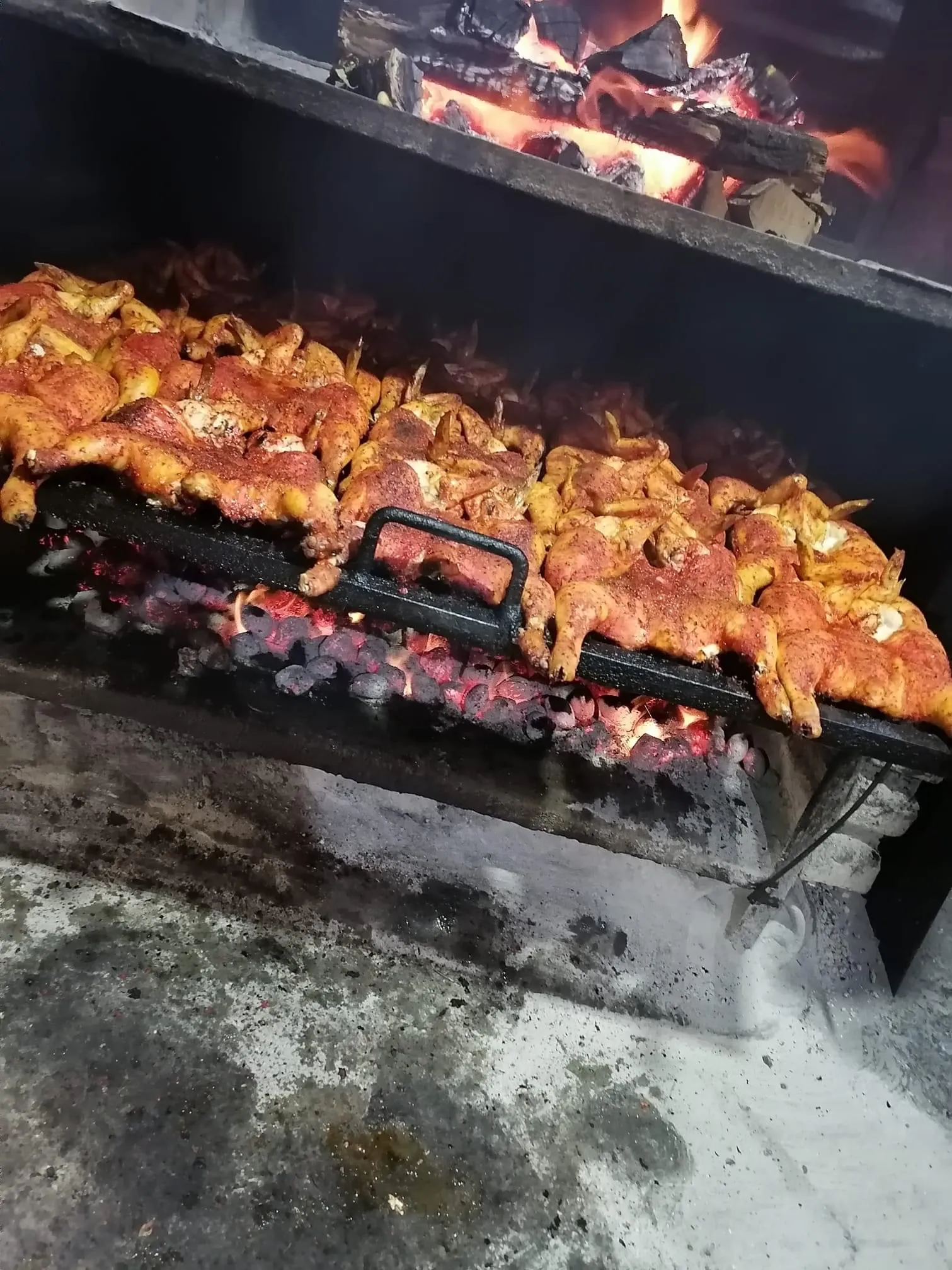 Pollo Picon image 3