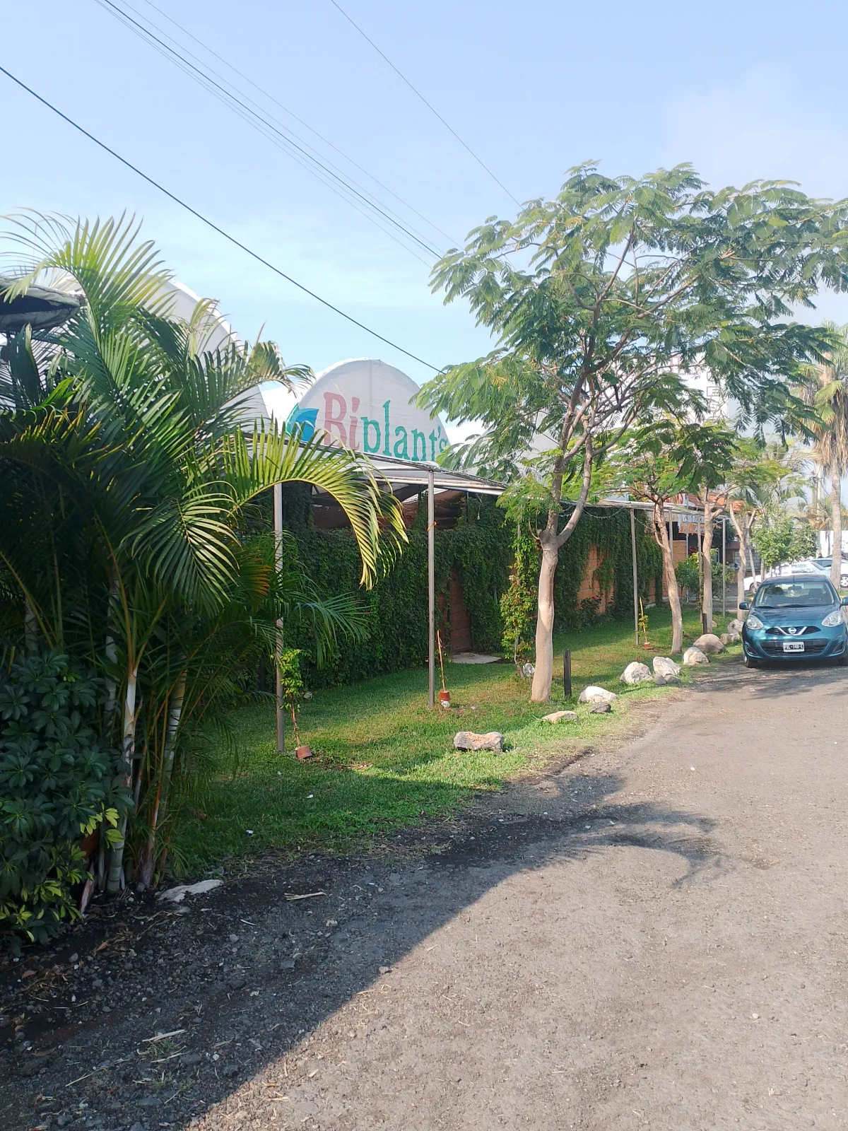 El Antojo image 4