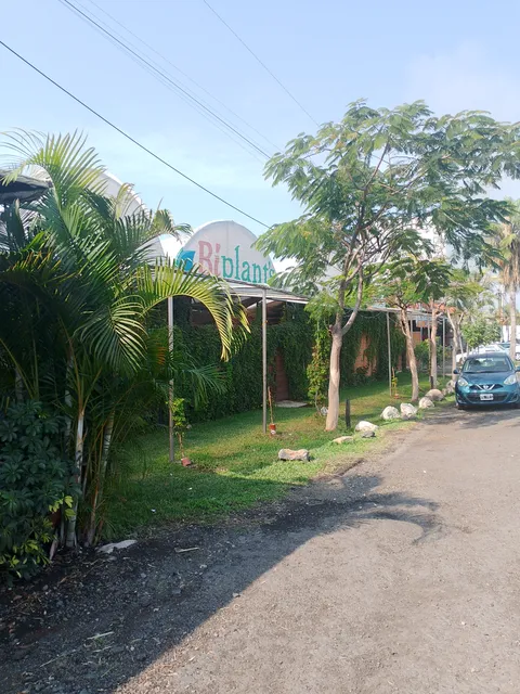 El Antojo image 4