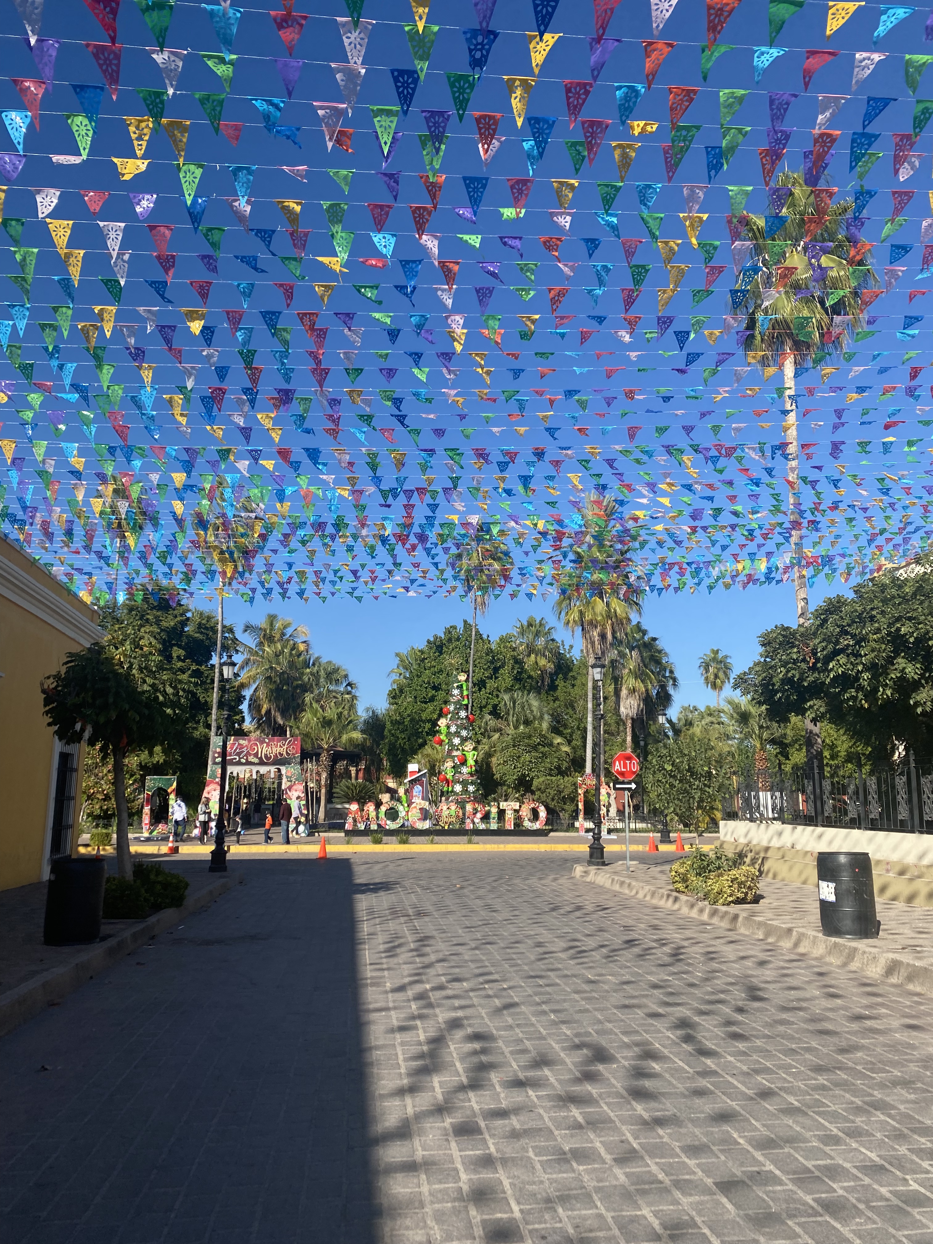 Punto Waffle image 2