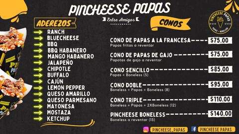 Pincheese Papas Villa de Arriaga image 1